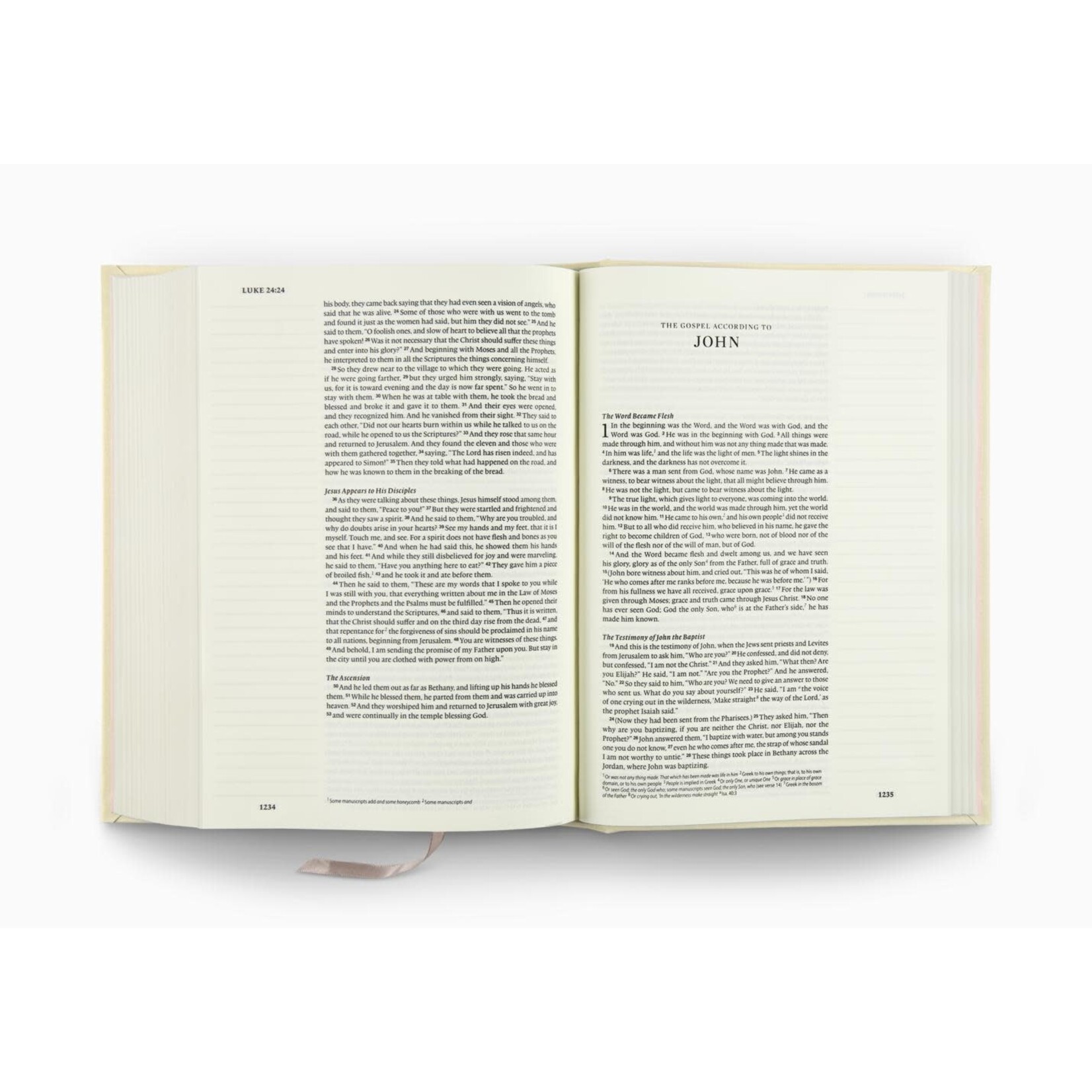 ESV Journaling Bible - Single Column, Cloth over board, Rosehip