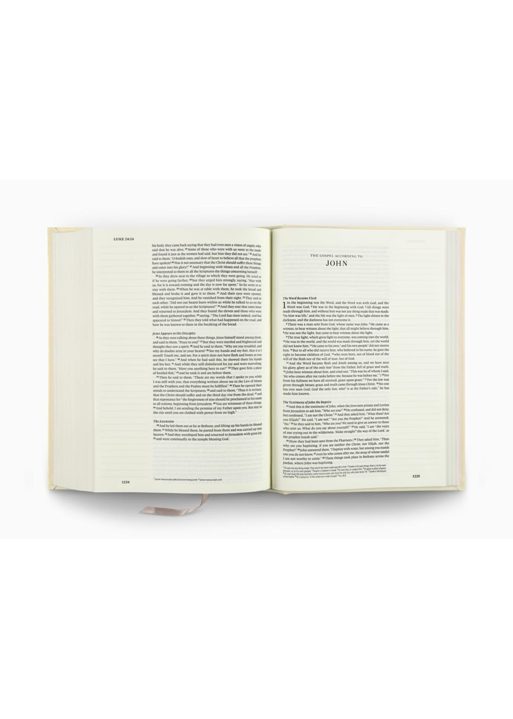 ESV Journaling Bible - Single Column, Cloth over board, Rosehip