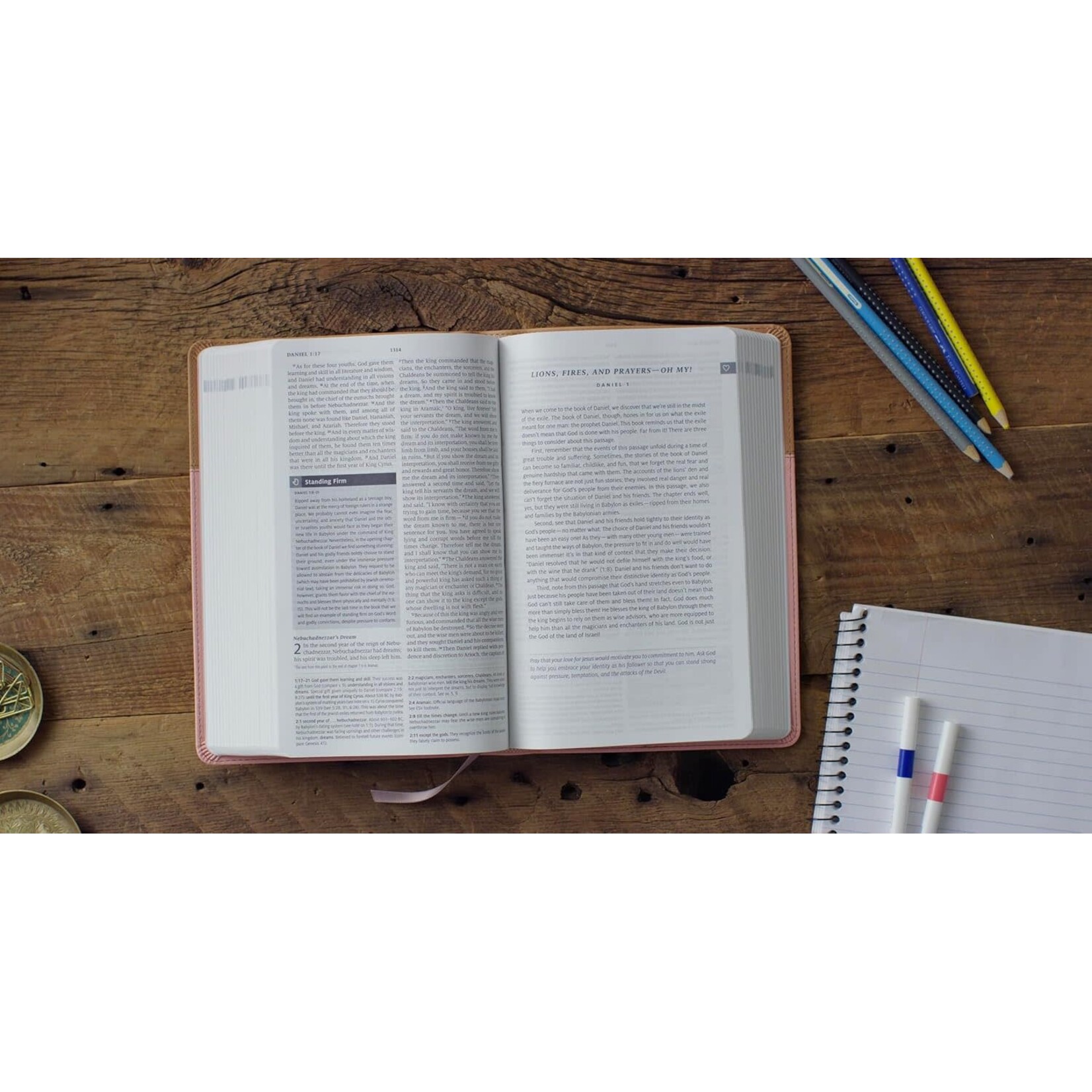 ESV Teen Study Bible - Trutone, Blush / Caramel