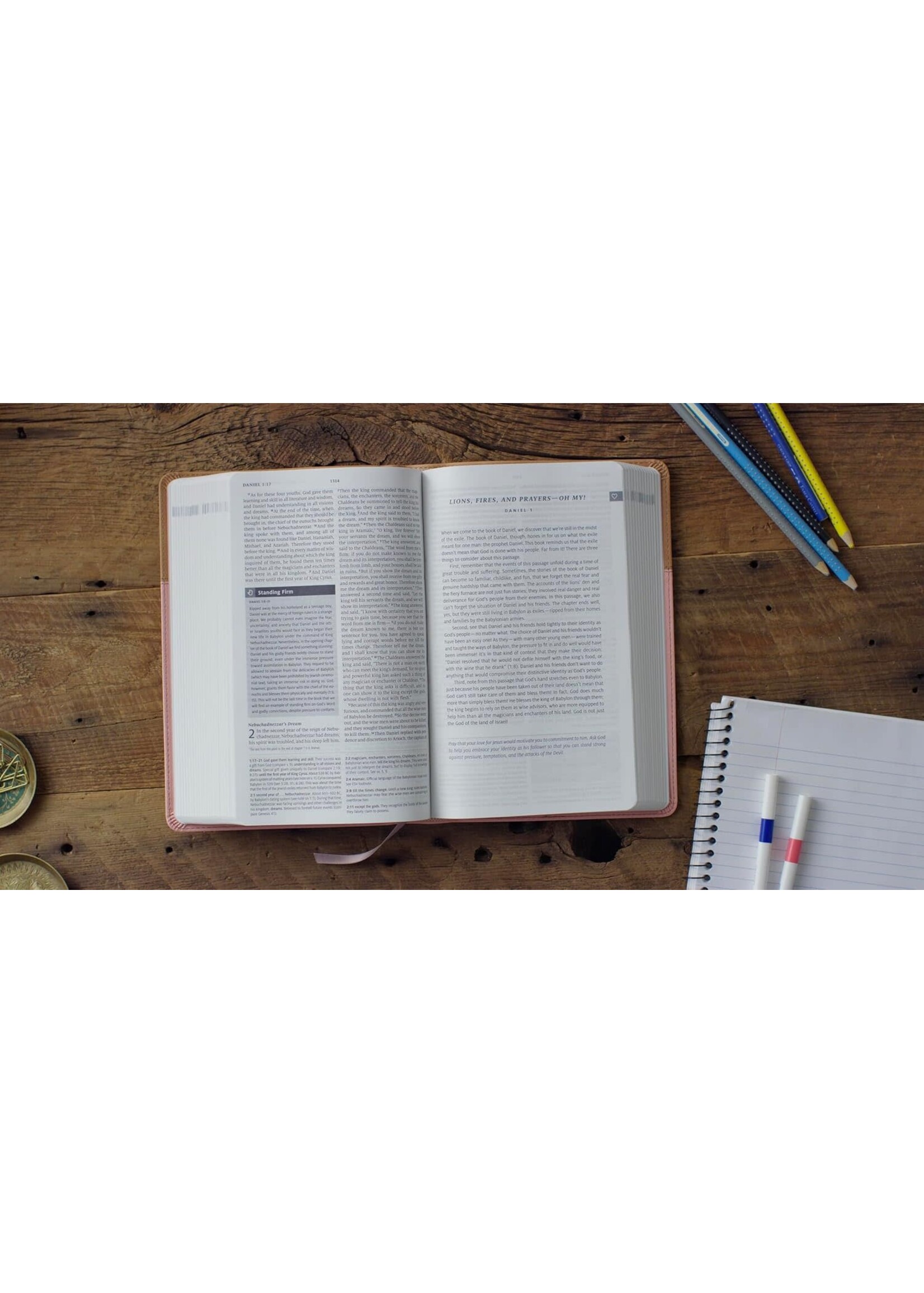 ESV Teen Study Bible - Trutone, Blush / Caramel