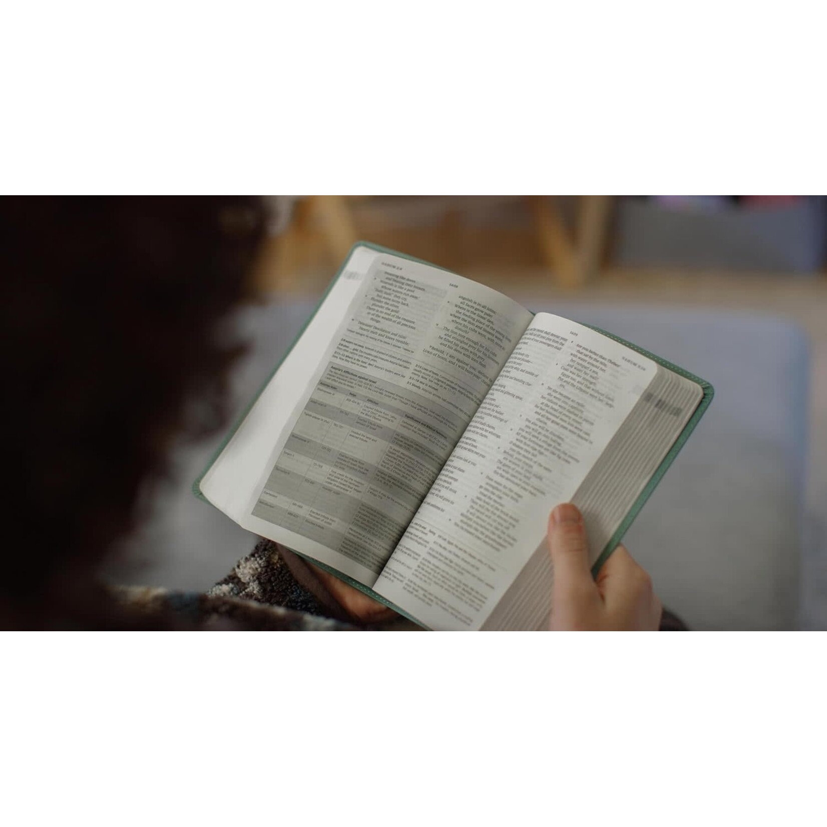 ESV Teen Study Bible - Trutone, Seaside Blue