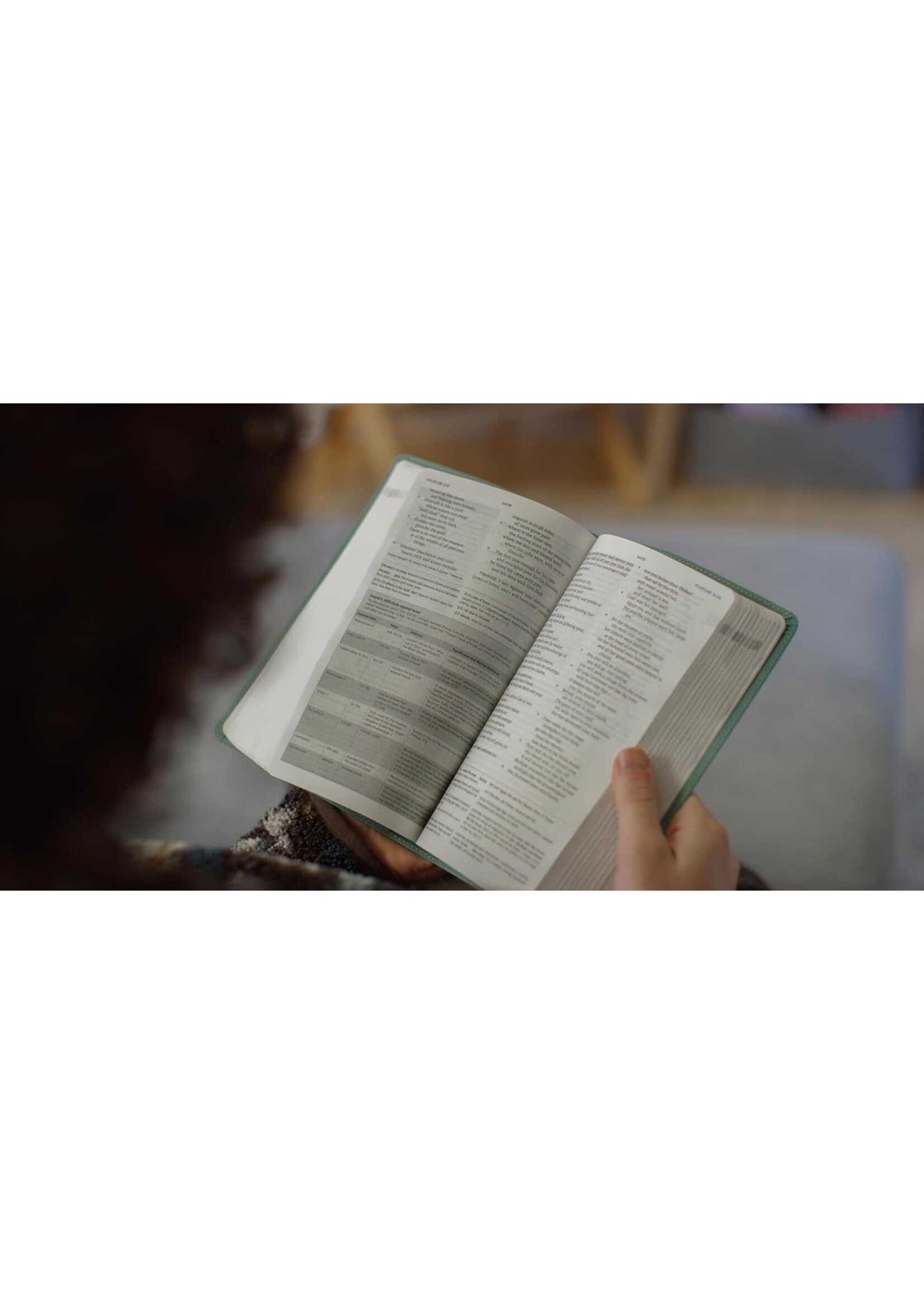 ESV Teen Study Bible - Trutone, Seaside Blue