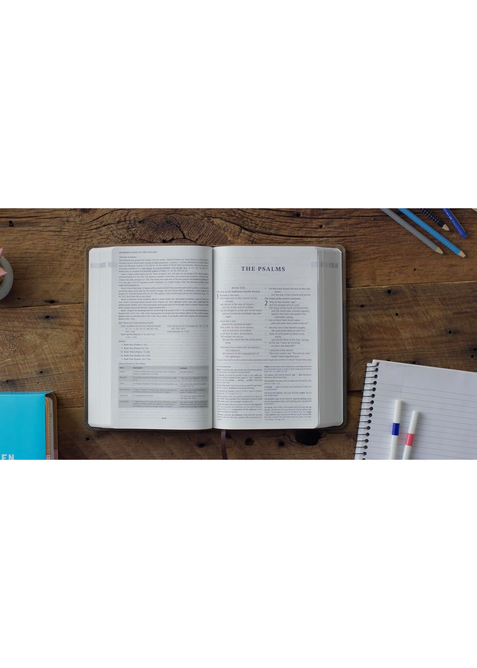 ESV Teen Study Bible - Trutone, Slate / Umber