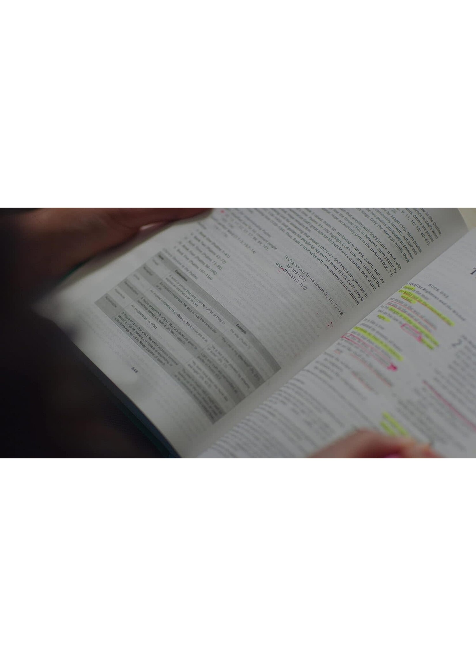 ESV Teen Study Bible - Hardcover, Wellspring