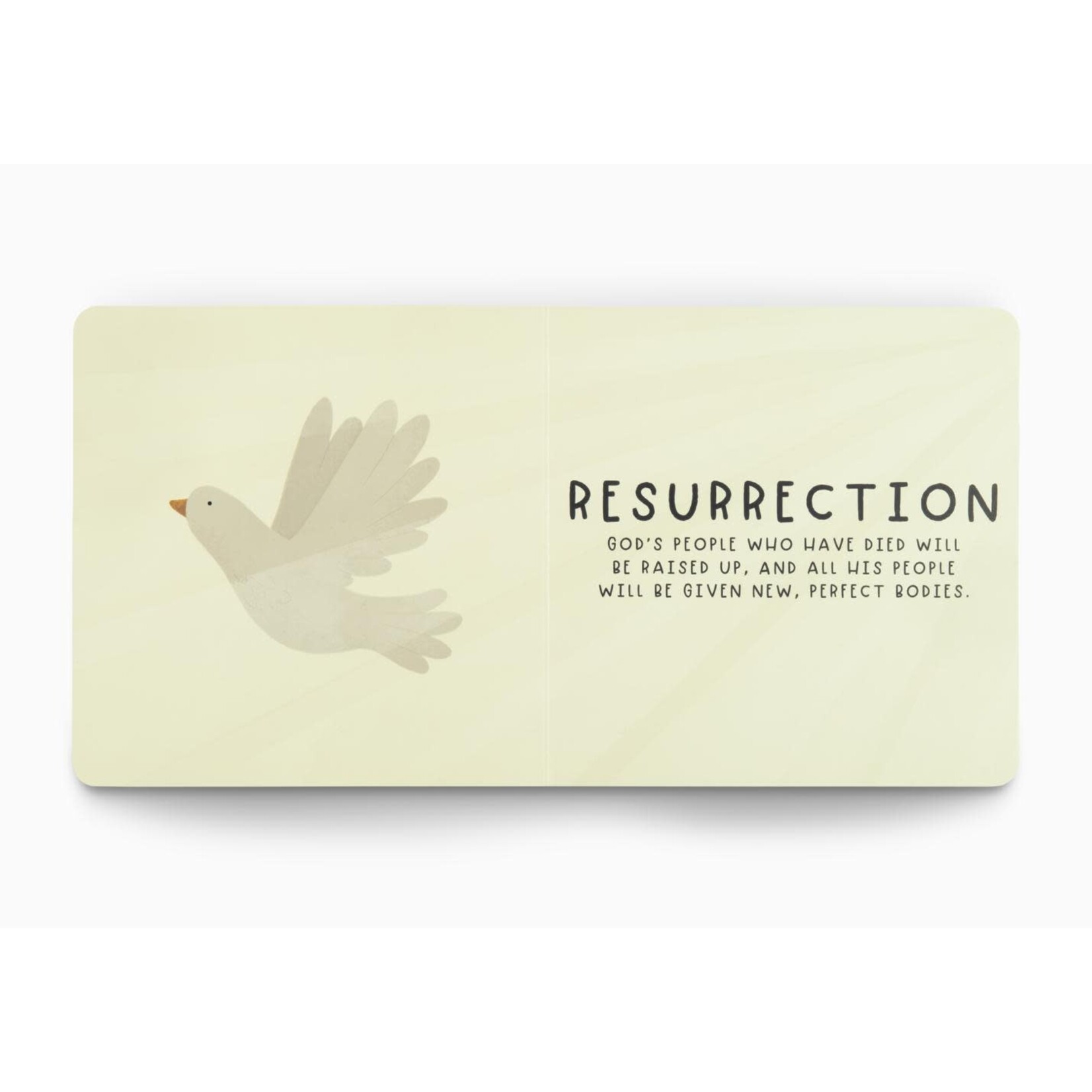 Heaven - Big Theology For Little Hearts, Board Book