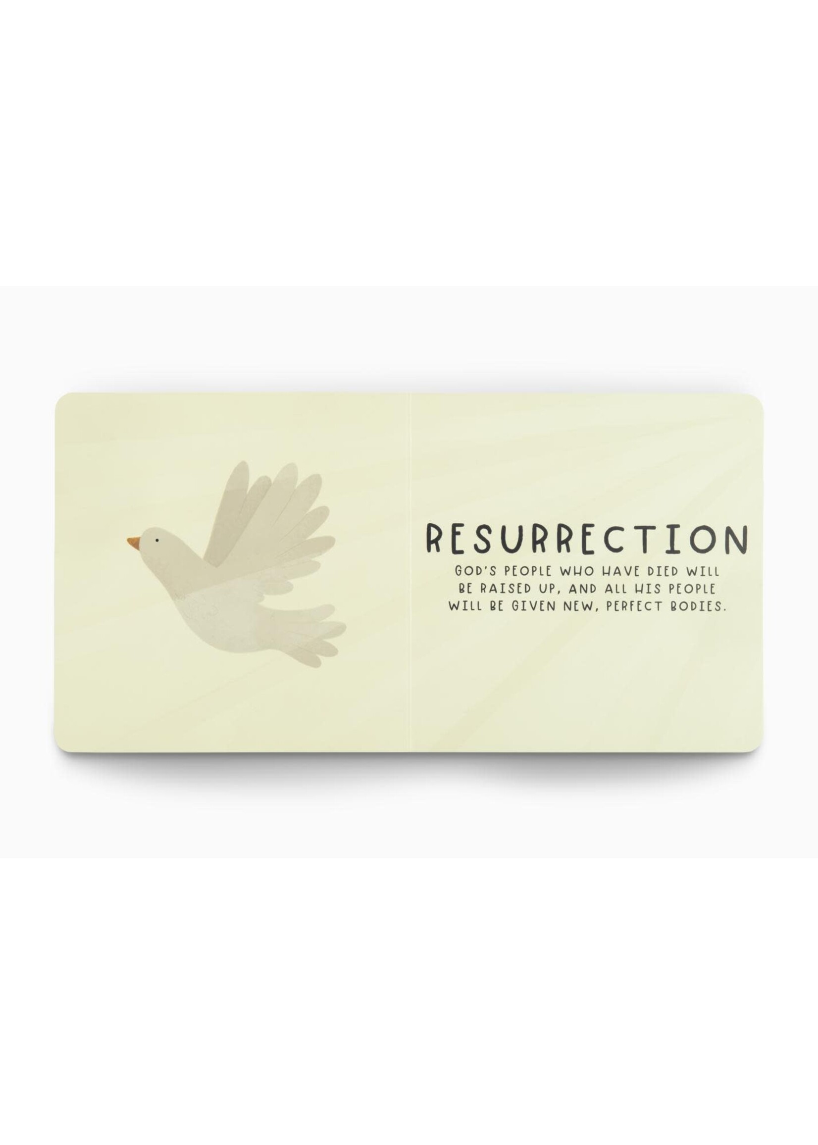 Heaven - Big Theology For Little Hearts, Board Book