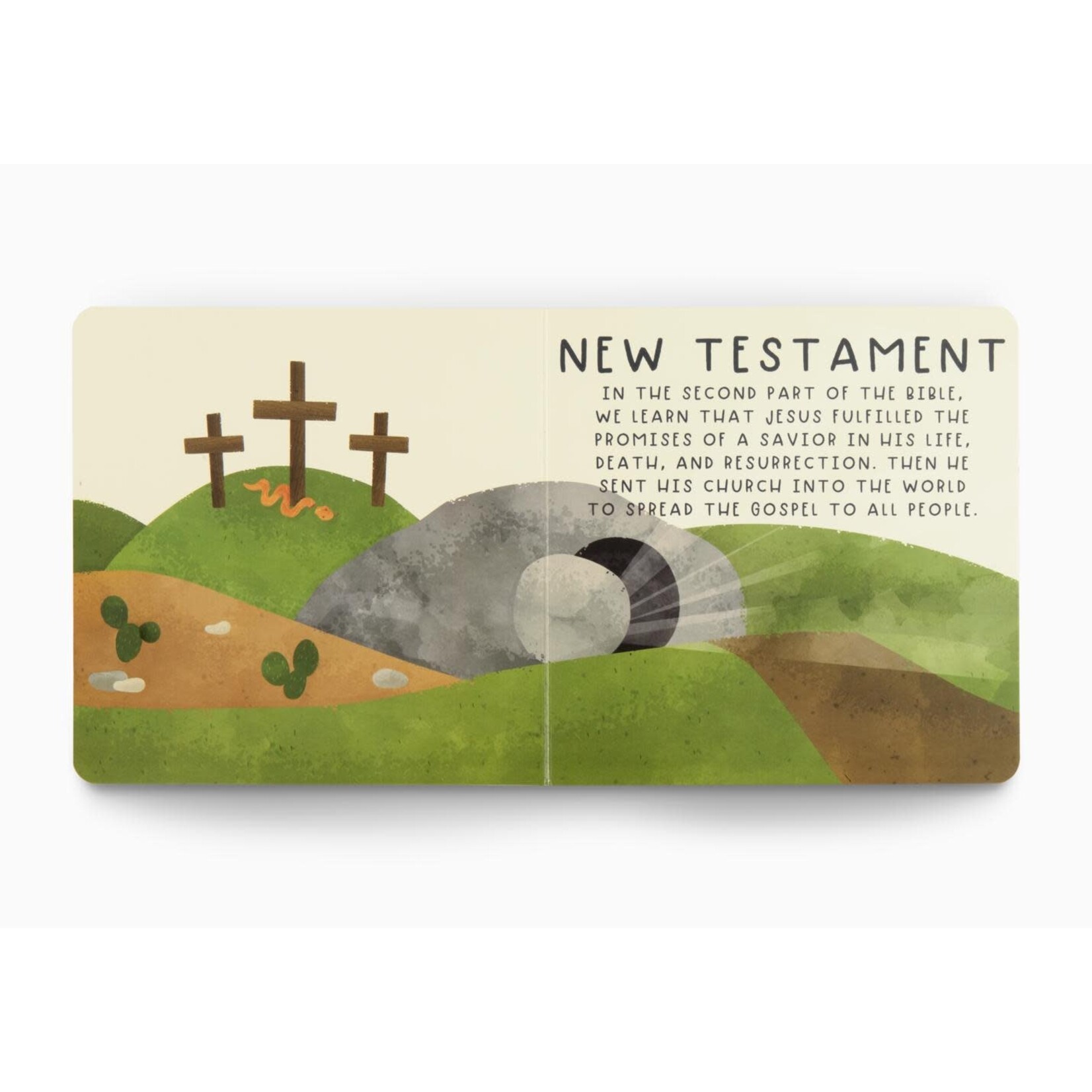 The Bible - Big Theology For Little Hearts, Board Book