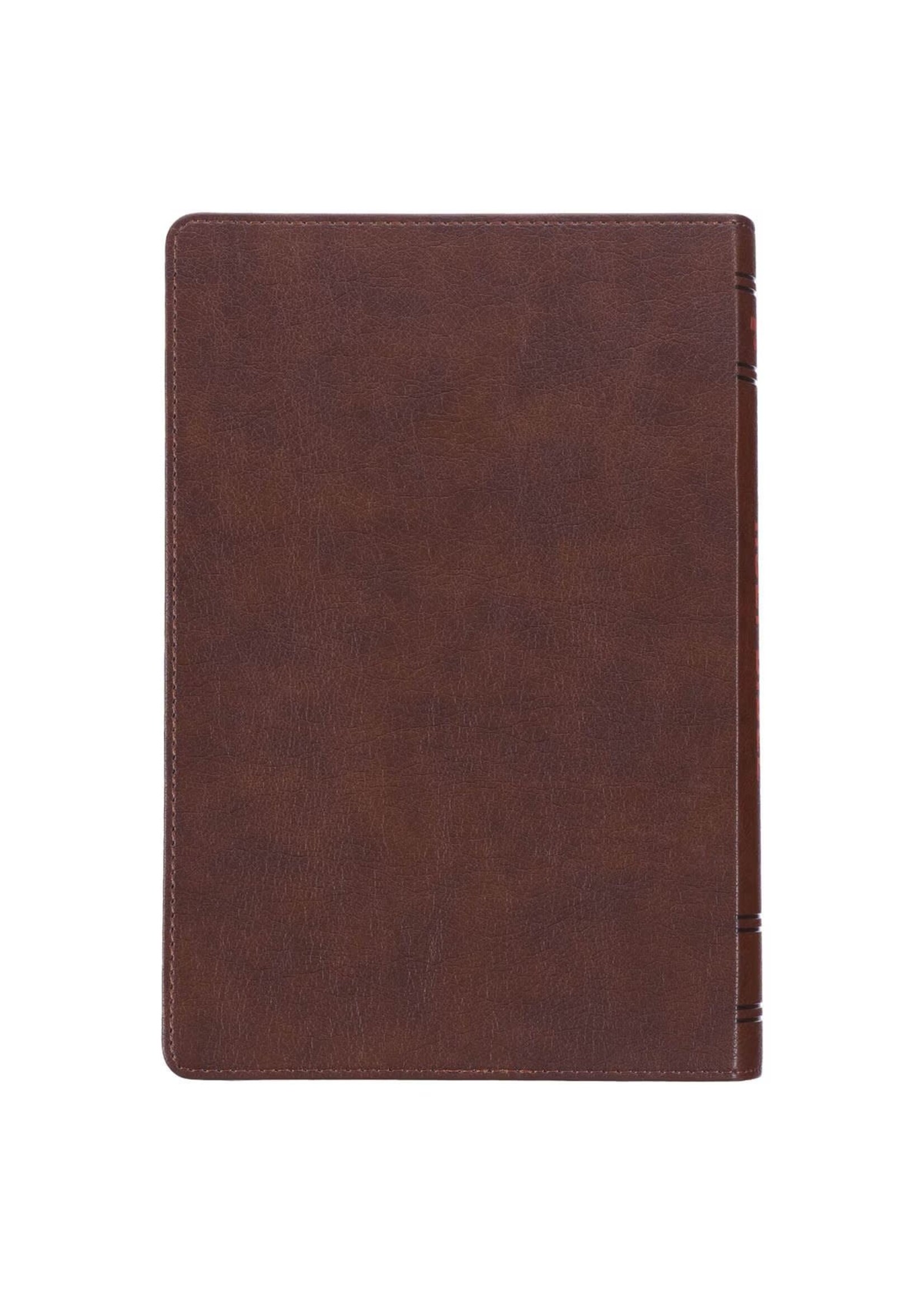 Lion Brown Faux Leather Kid's King James Version Bible