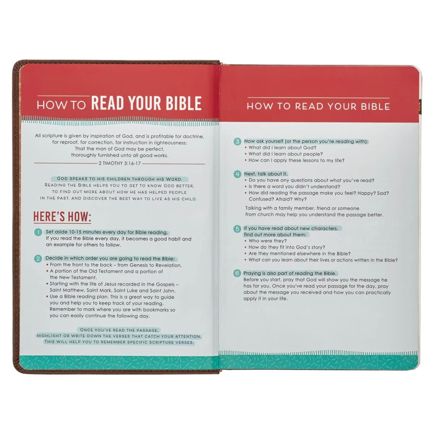 Lion Brown Faux Leather Kid's King James Version Bible