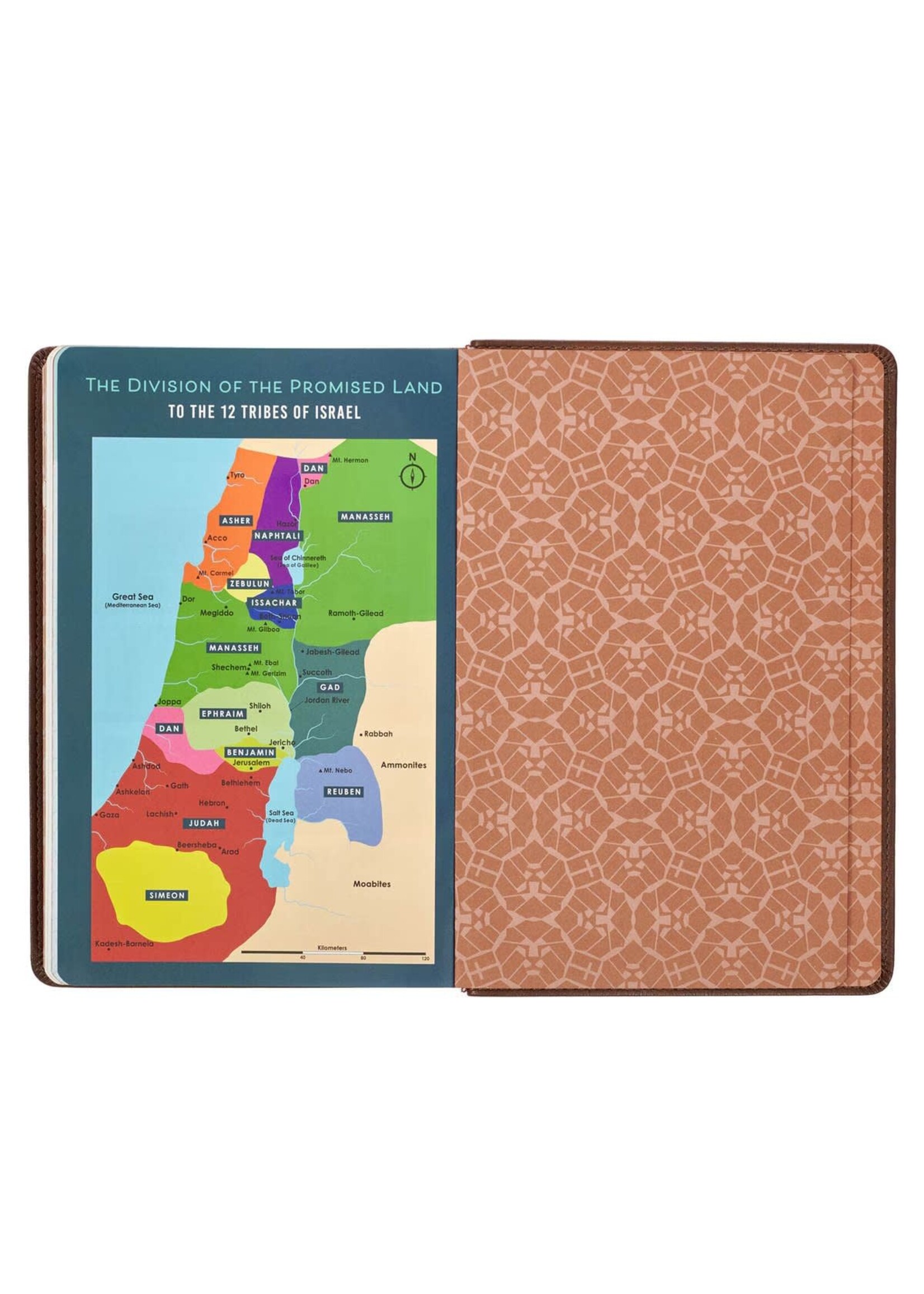 Lion Brown Faux Leather Kid's King James Version Bible