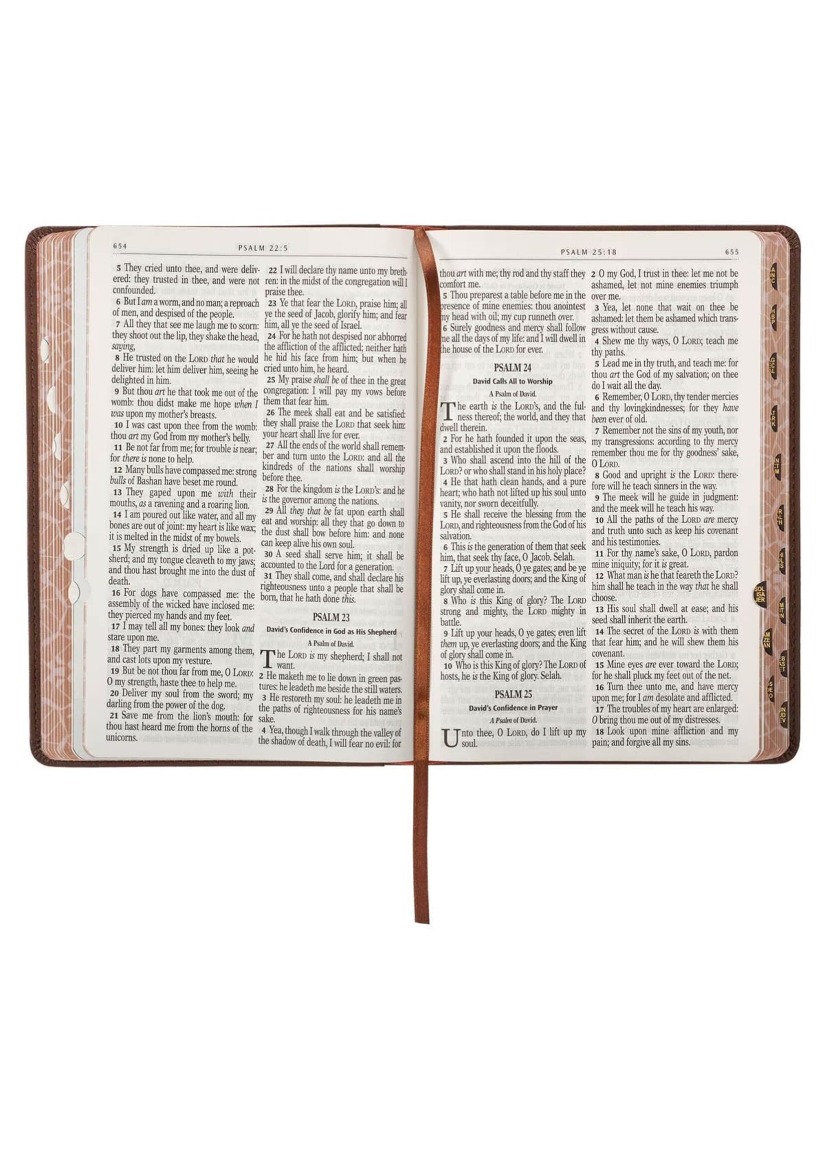 Lion Brown Faux Leather Kid's King James Version Bible