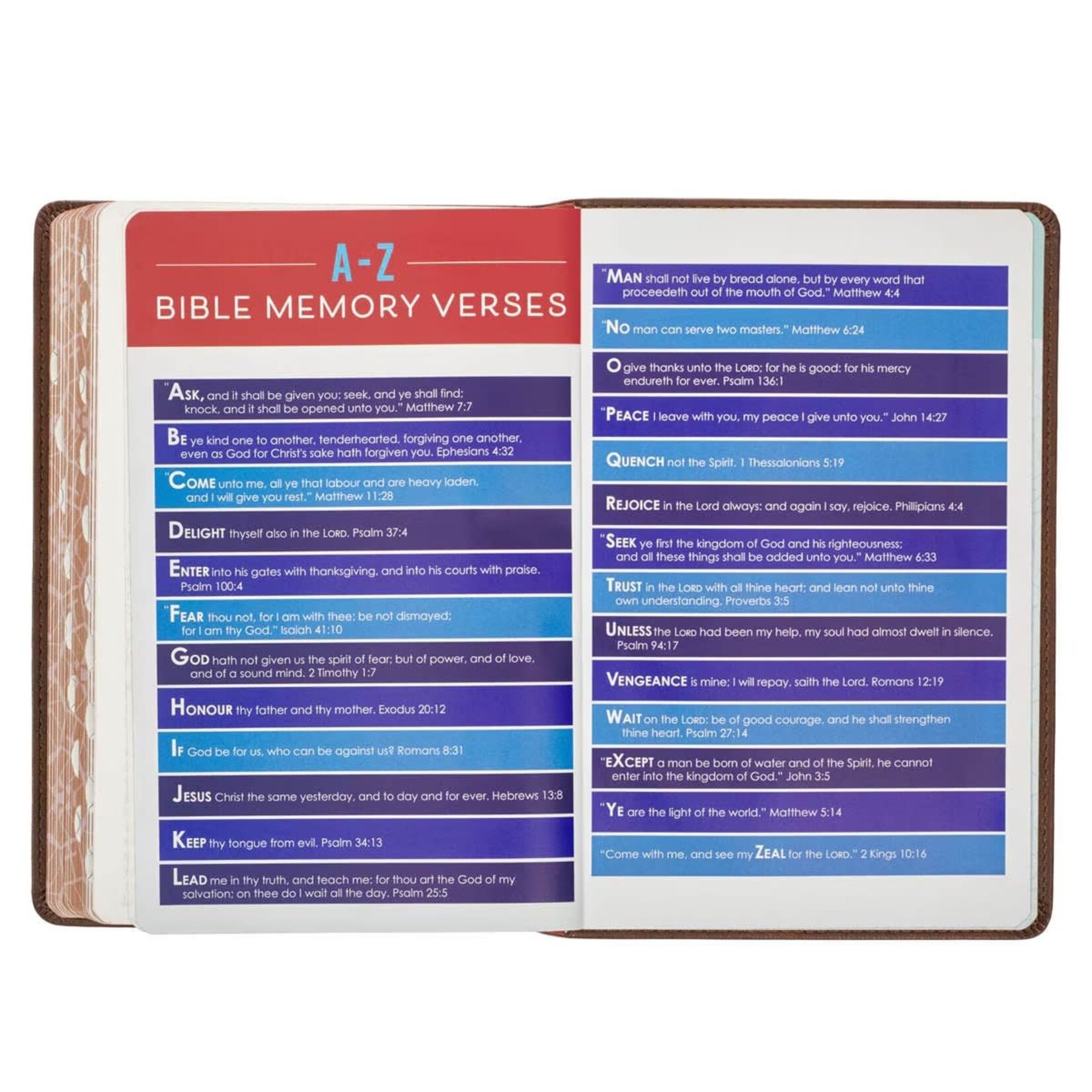 Lion Brown Faux Leather Kid's King James Version Bible