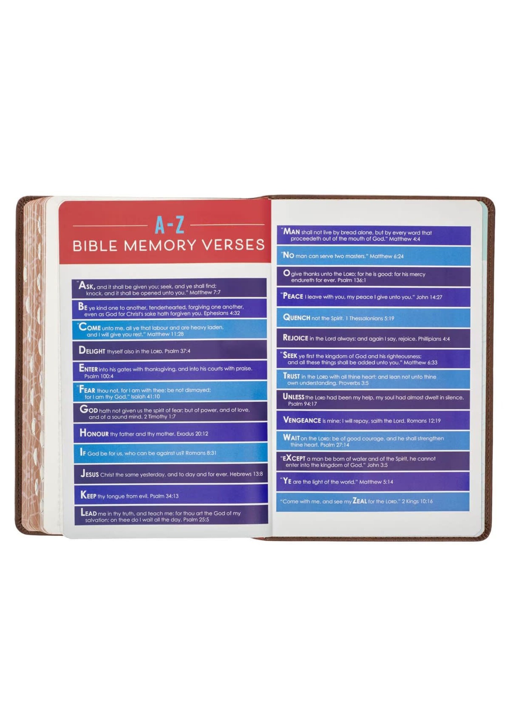 Lion Brown Faux Leather Kid's King James Version Bible