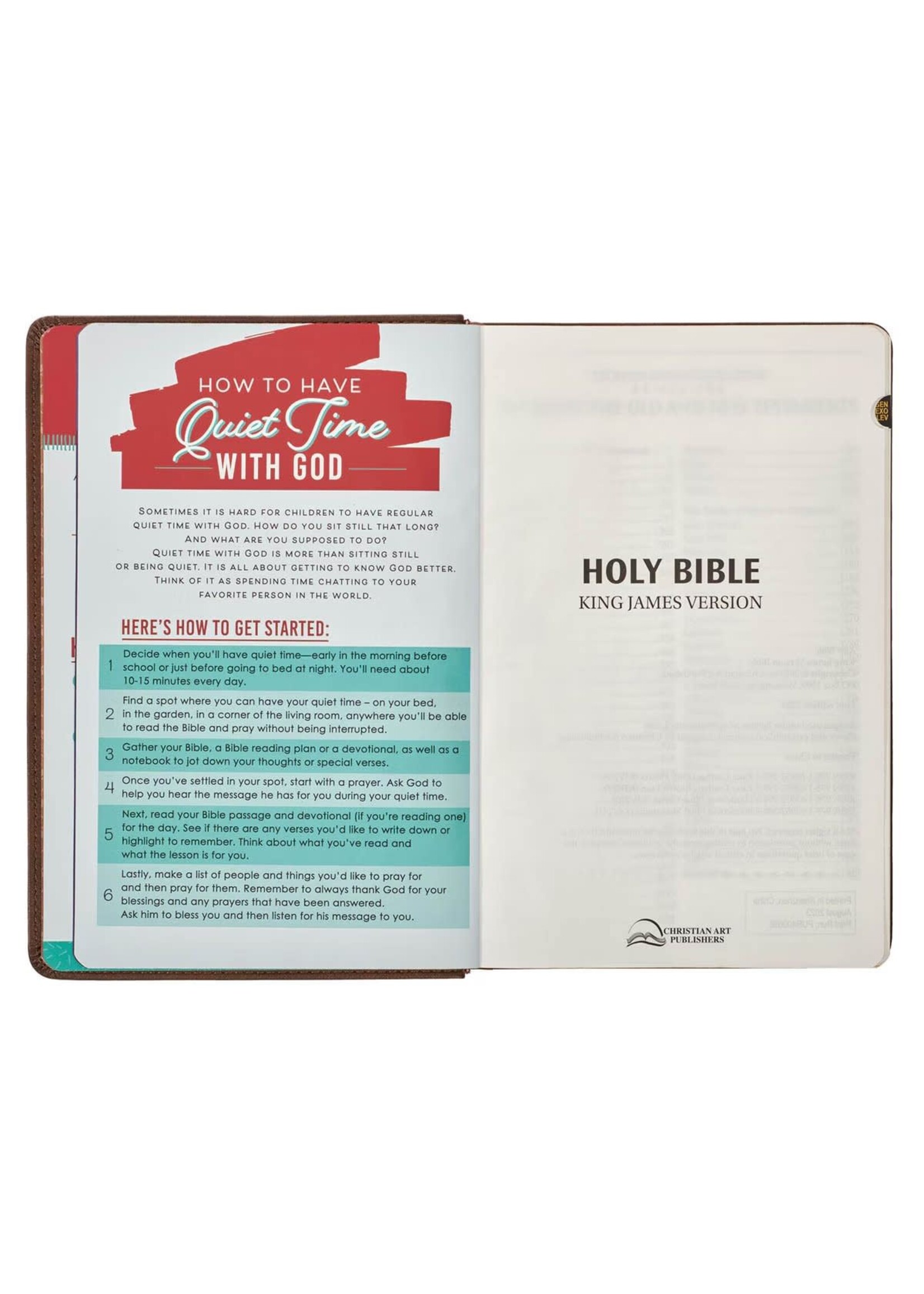 Lion Brown Faux Leather Kid's King James Version Bible