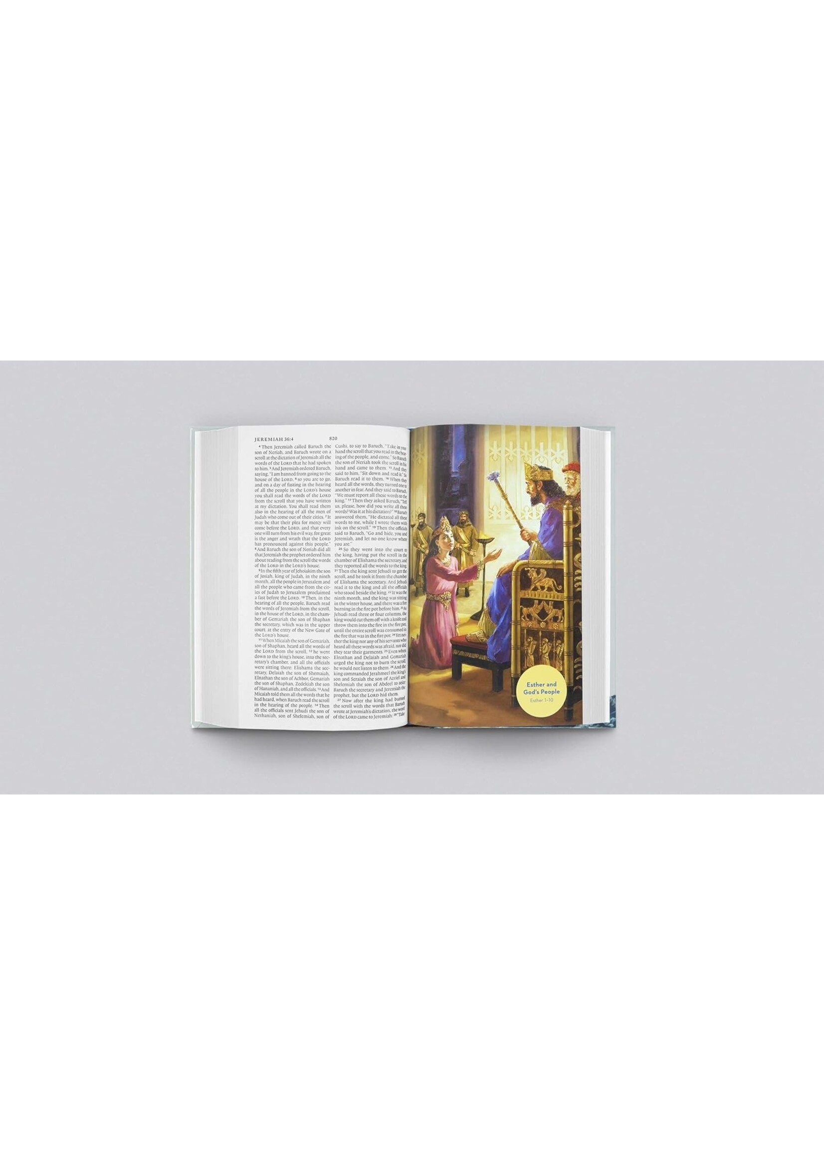 ESV Holy Bible for Kids (Large Print)