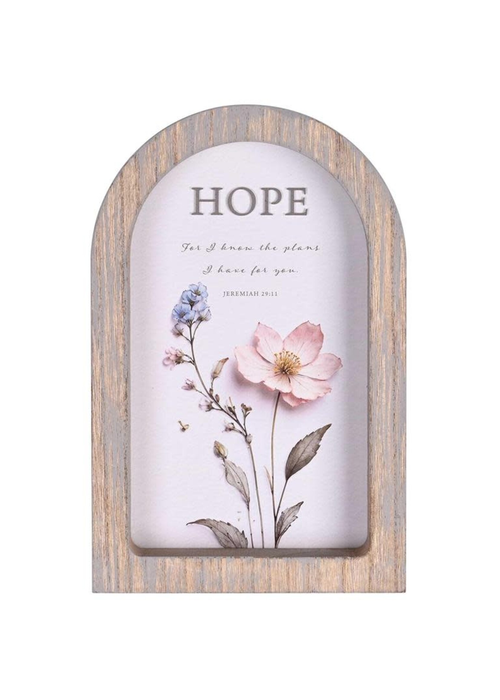 Framed Arch Hope For I Know Plans - 7X11