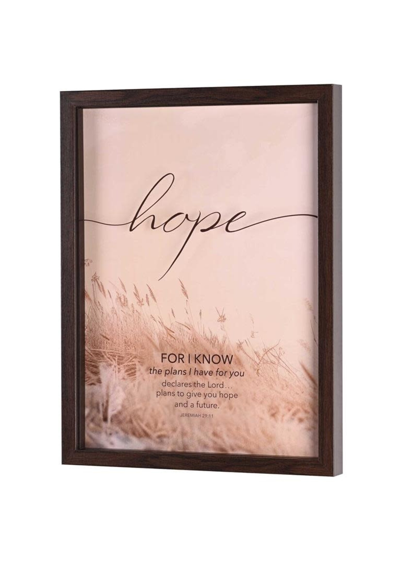 Hope For I Know Plans - Framed Wall Art