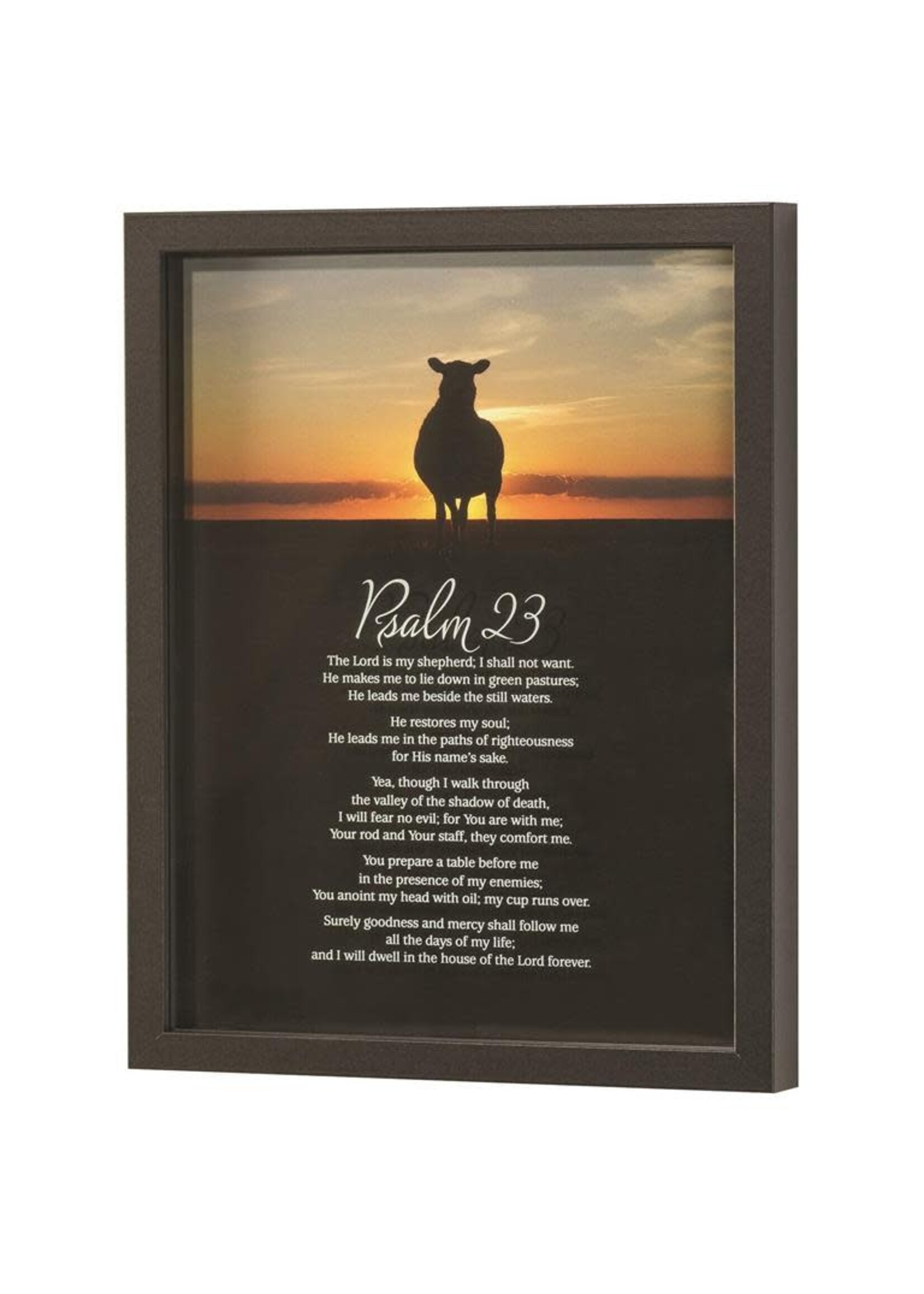 Psalm 23 - Framed Wall Art