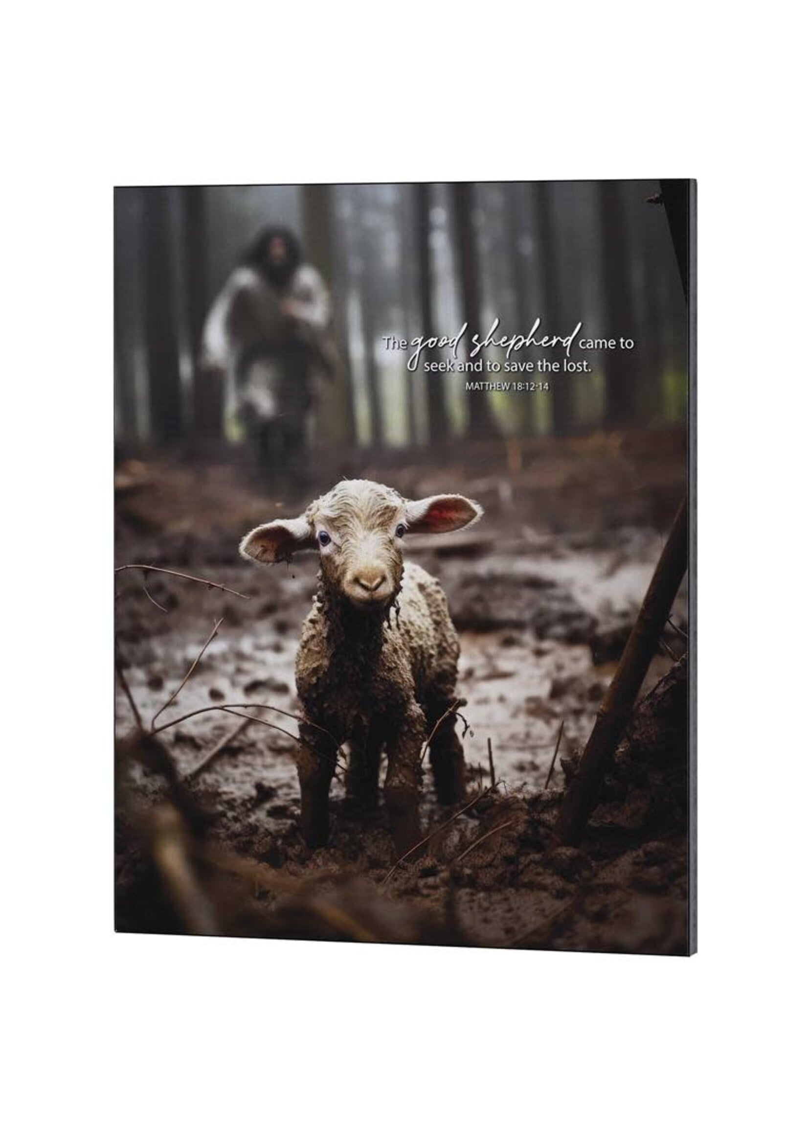 The Lost Lamb Matthew 18:12-14 - Wall Plaque