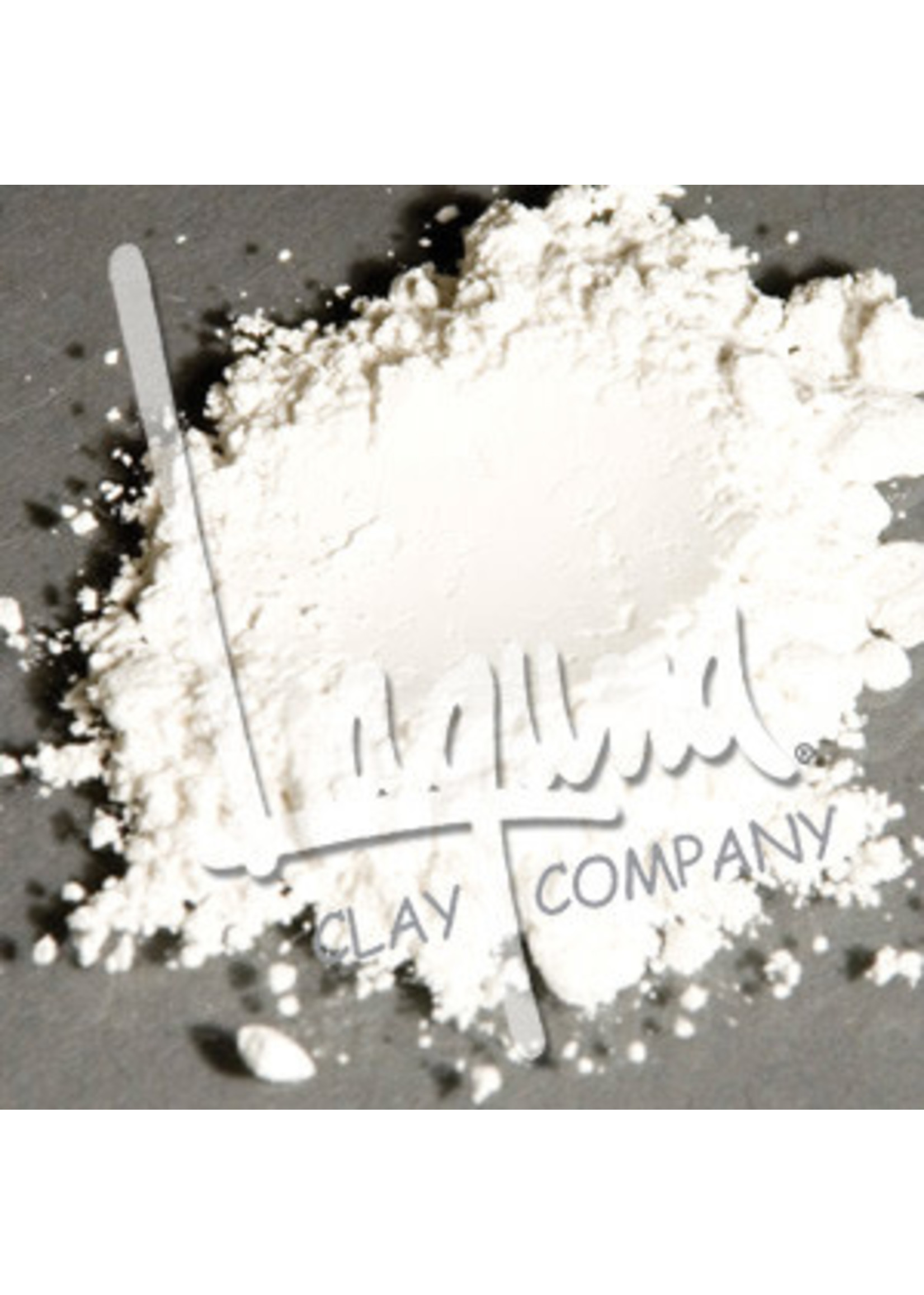 Laguna Clay Co. Titanium Dioxide Dry 5lb Bags