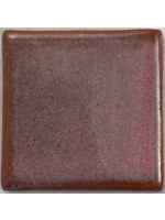 Coyote Glaze Dragon's Eye MBG218 Pint
