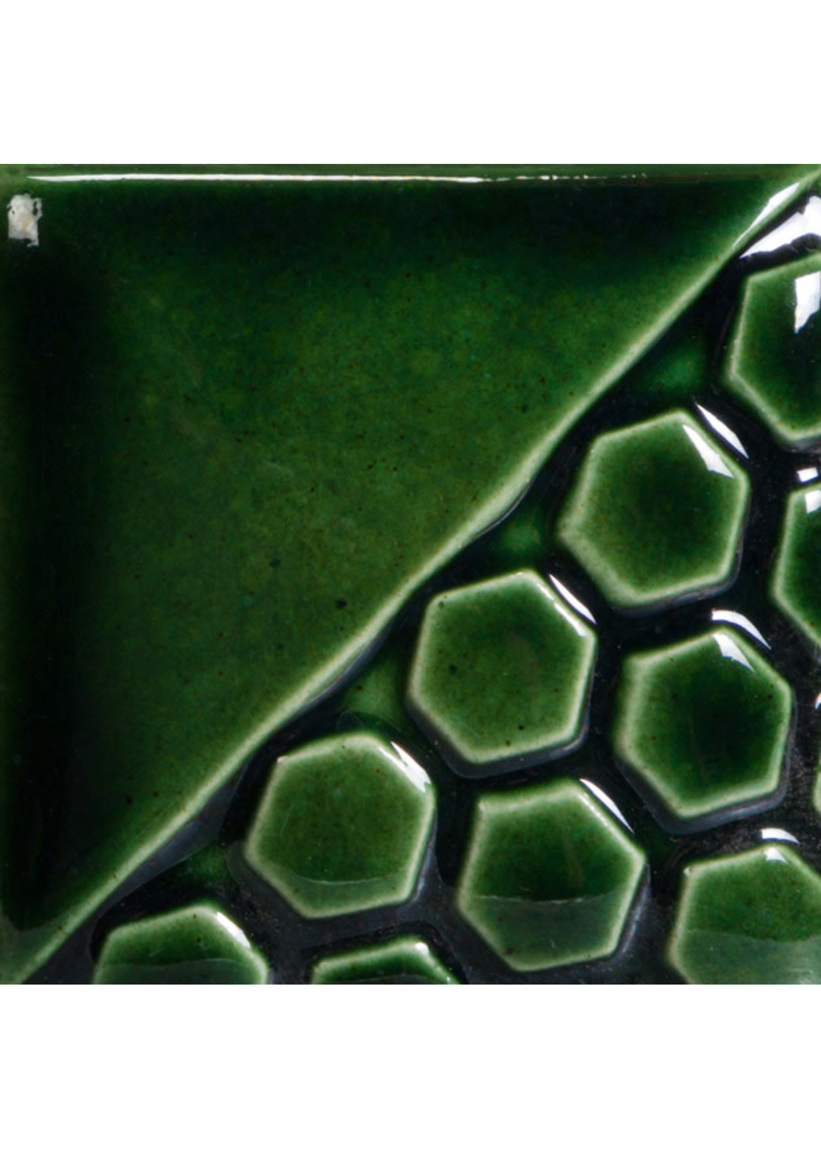 Mayco Coloramics Lustre Green FN219 Pint