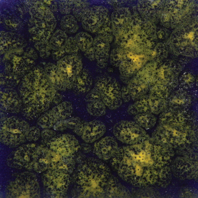夜想/ケムコ mayco-coloramics-starry-night-