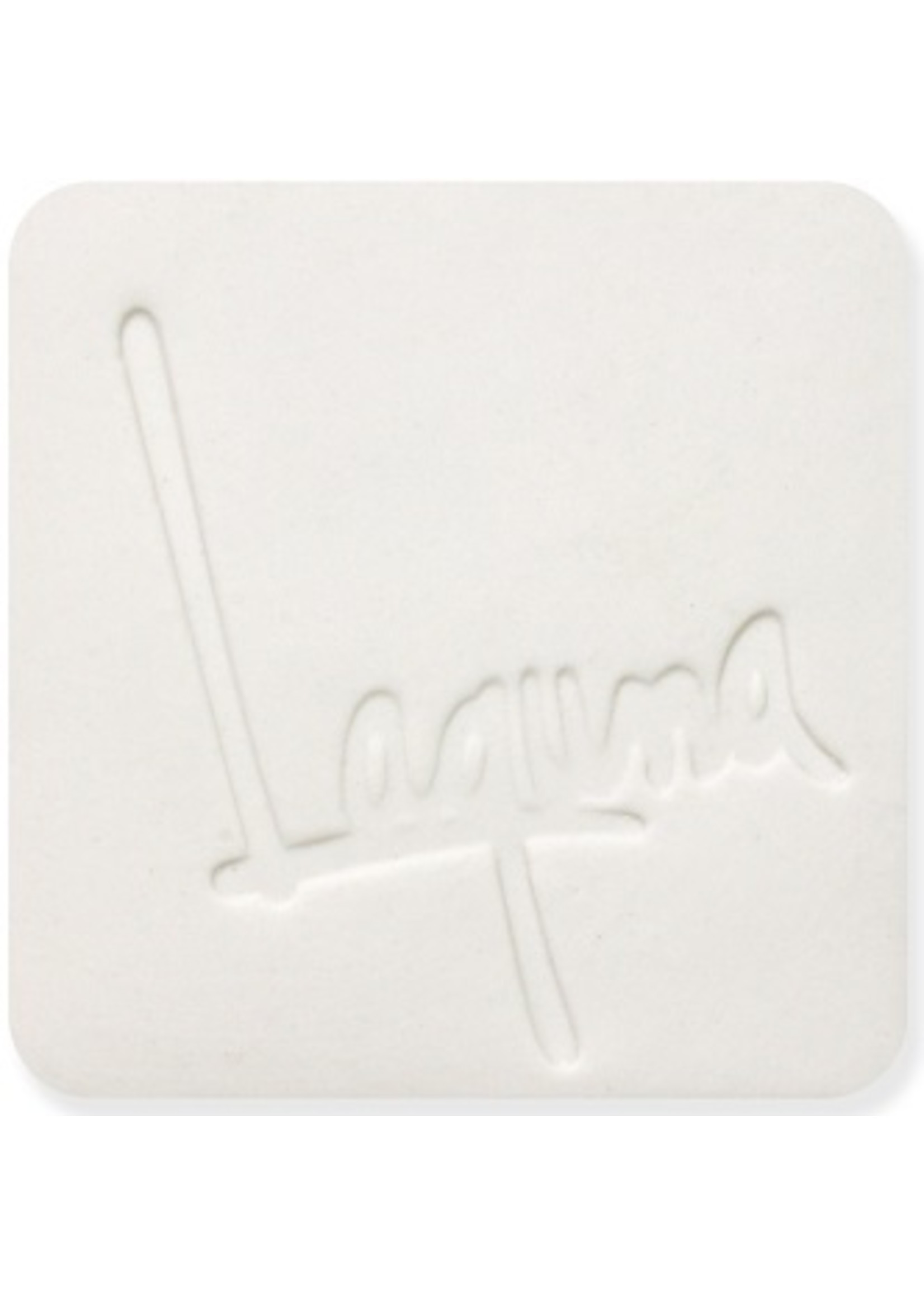 Laguna Clay Co. WC631 #550 ^10 Porcelain