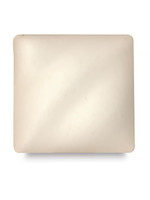 American Art and Clay Co. Transparent Matte LM-10