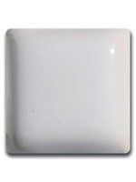 Laguna Clay Co. White Gloss MS-63
