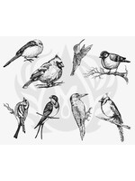 Mayco Coloramics Designer Silkscreen Aviary - Small Birds DSS-0108
