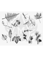 Mayco Coloramics Designer Silkscreen Botanical-Leaves DSS-0111