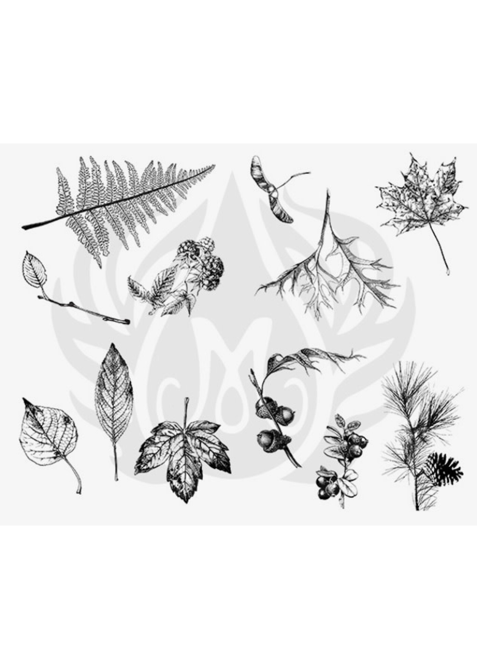 Mayco Coloramics Designer Silkscreen Botanical-Leaves DSS-0111