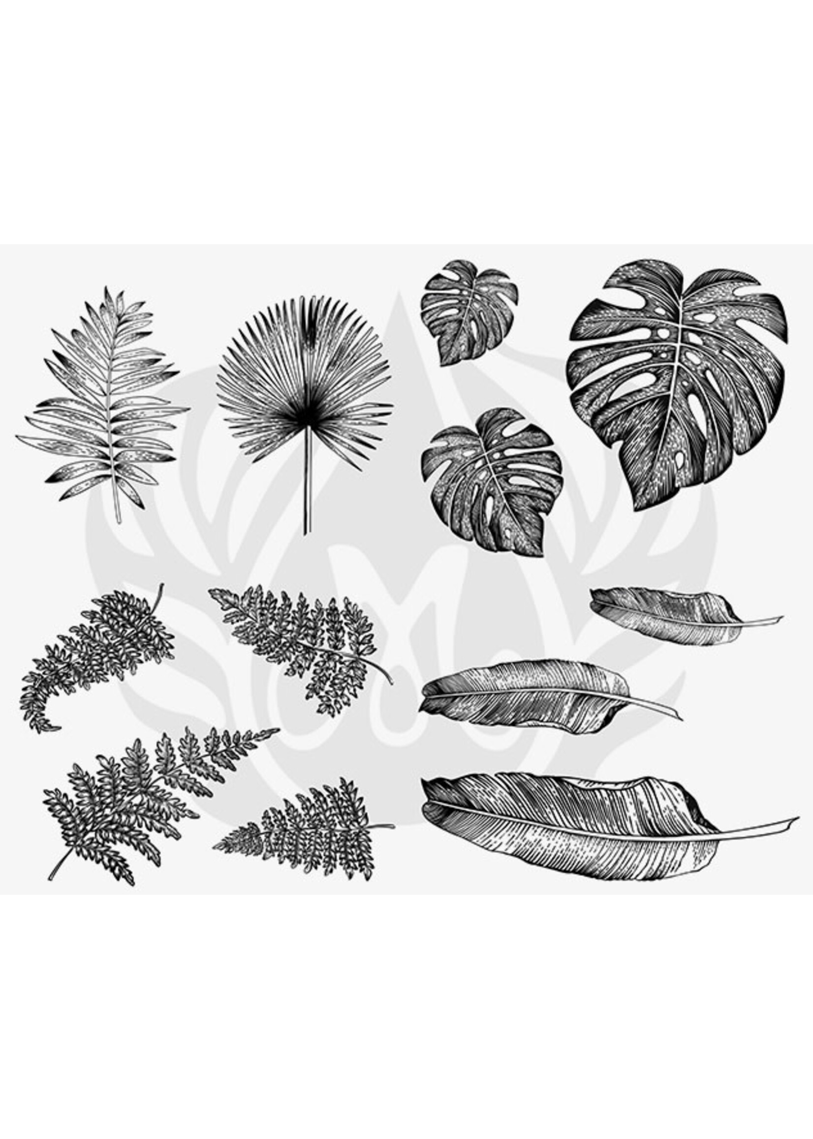 Designer Silkscreen Tropical Leaves DSS-0166 - 4oz