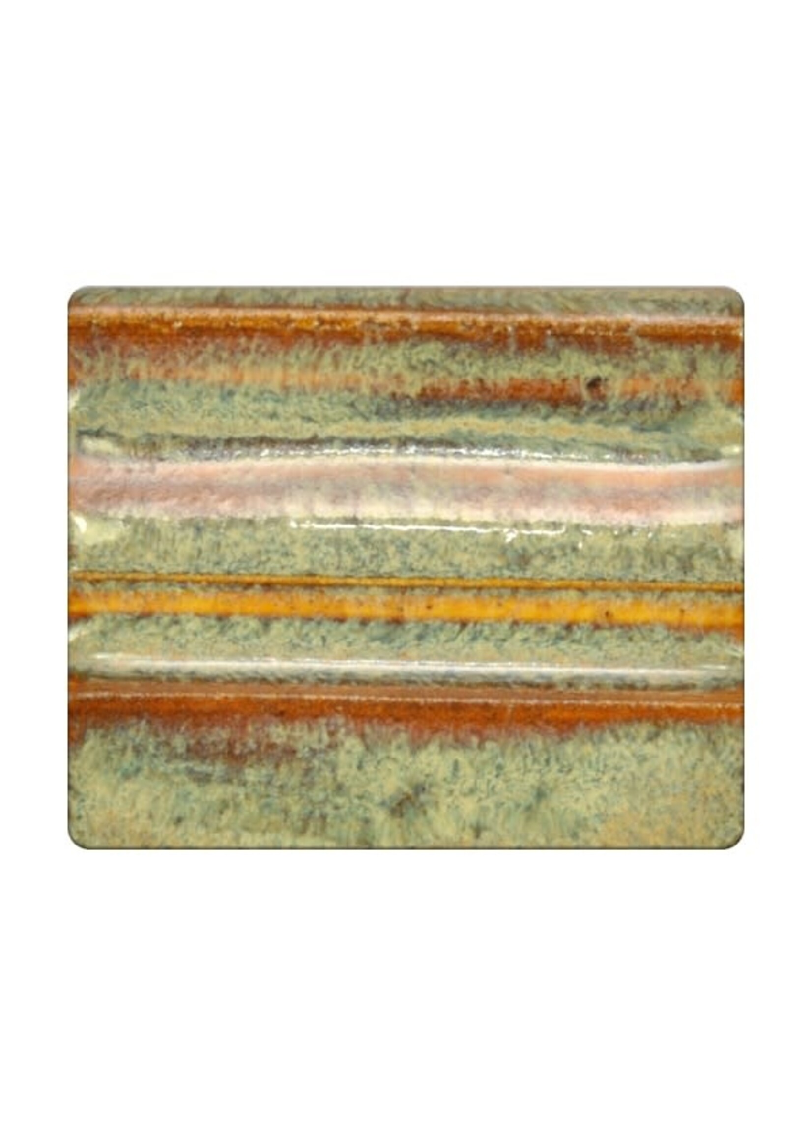 Spectrum 1145 Textured Autumn - Pint