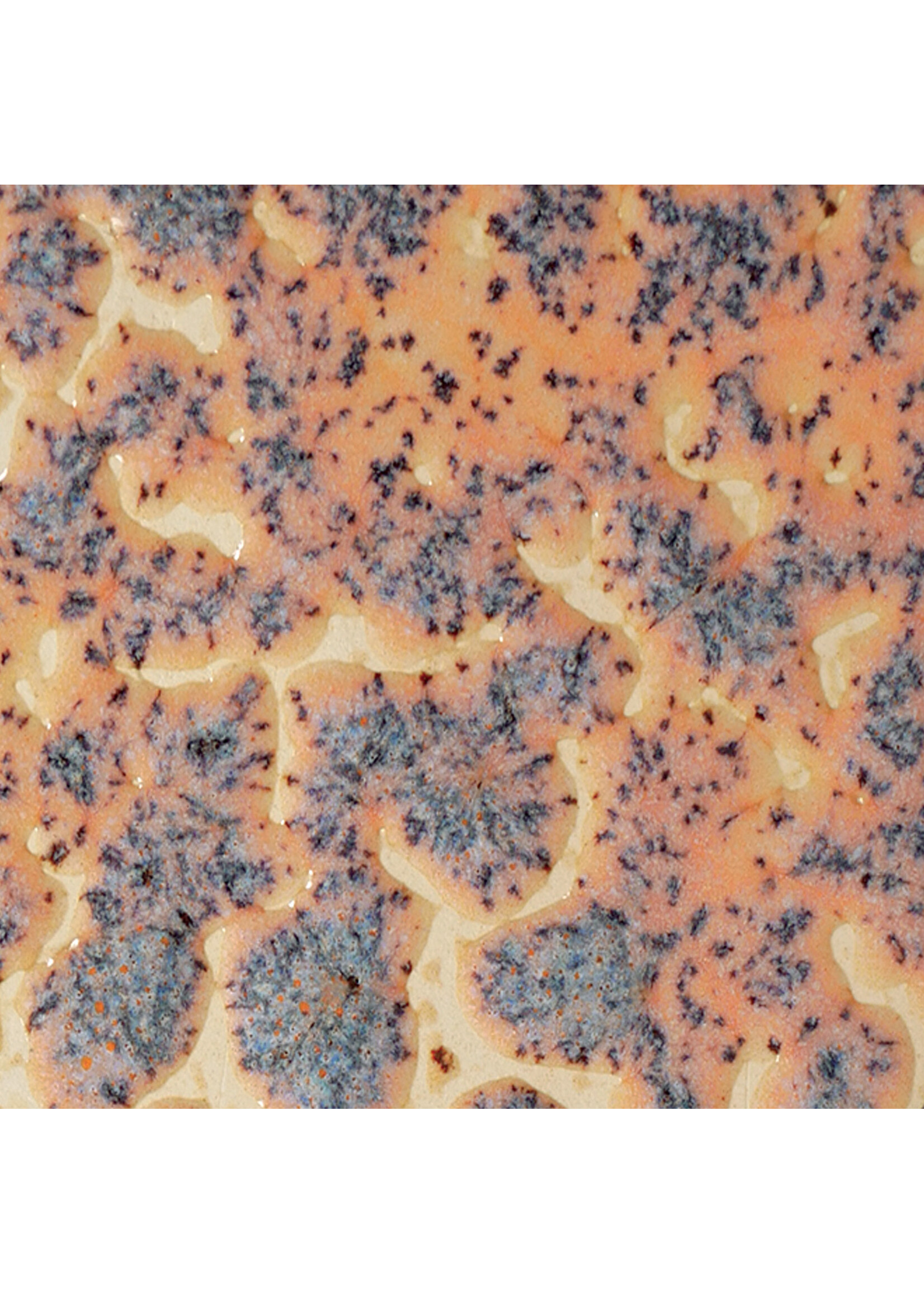 American Art and Clay Co. Crawls CR-18 Speckled Flux Crawl - Pint