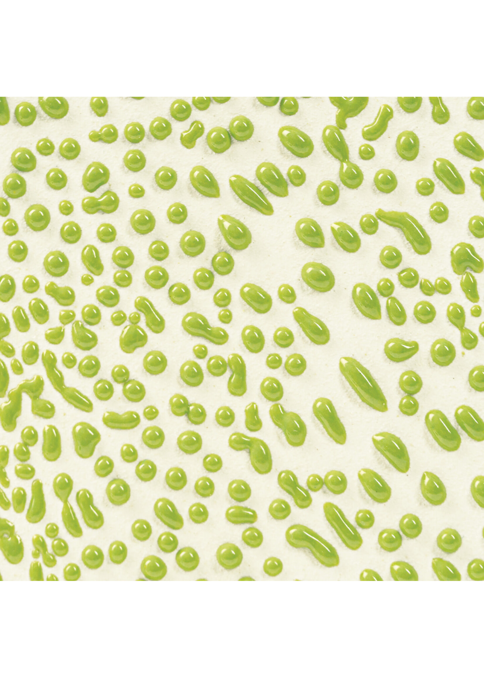 American Art and Clay Co. Crawls CR-41 Lime - Pint