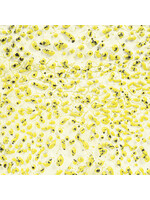 American Art and Clay Co. Crawls CR-61 Speckled Yellow - Pint