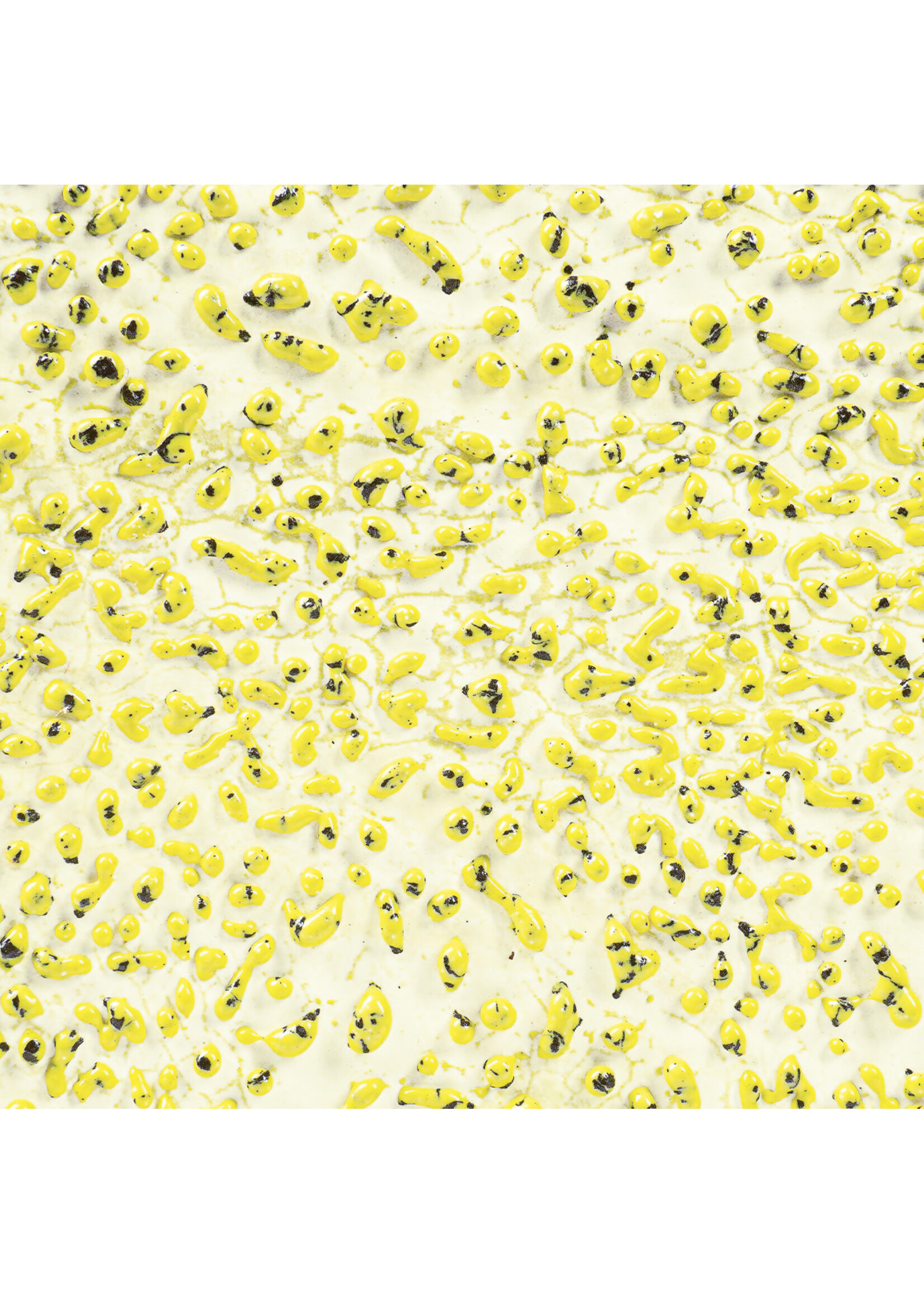 American Art and Clay Co. Crawls CR-61 Speckled Yellow - Pint