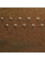 American Art and Clay Co. COSMIC GOLD DUST PC-69 PINT