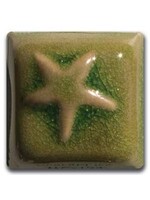 Laguna Clay Co. Emerald Isle WC-134 Pint