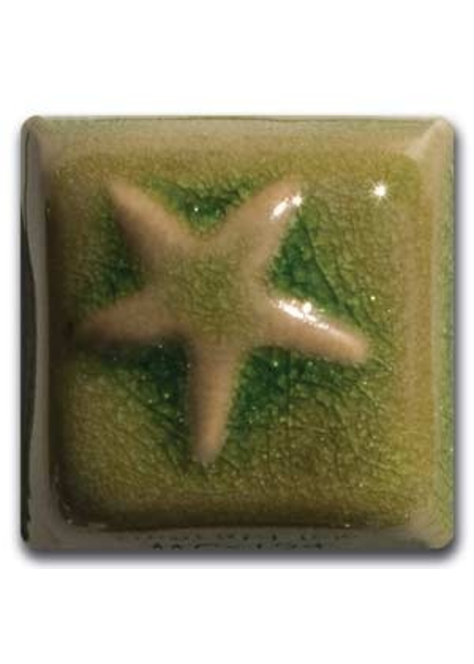 Laguna Clay Co. Emerald Isle WC-134 Pint