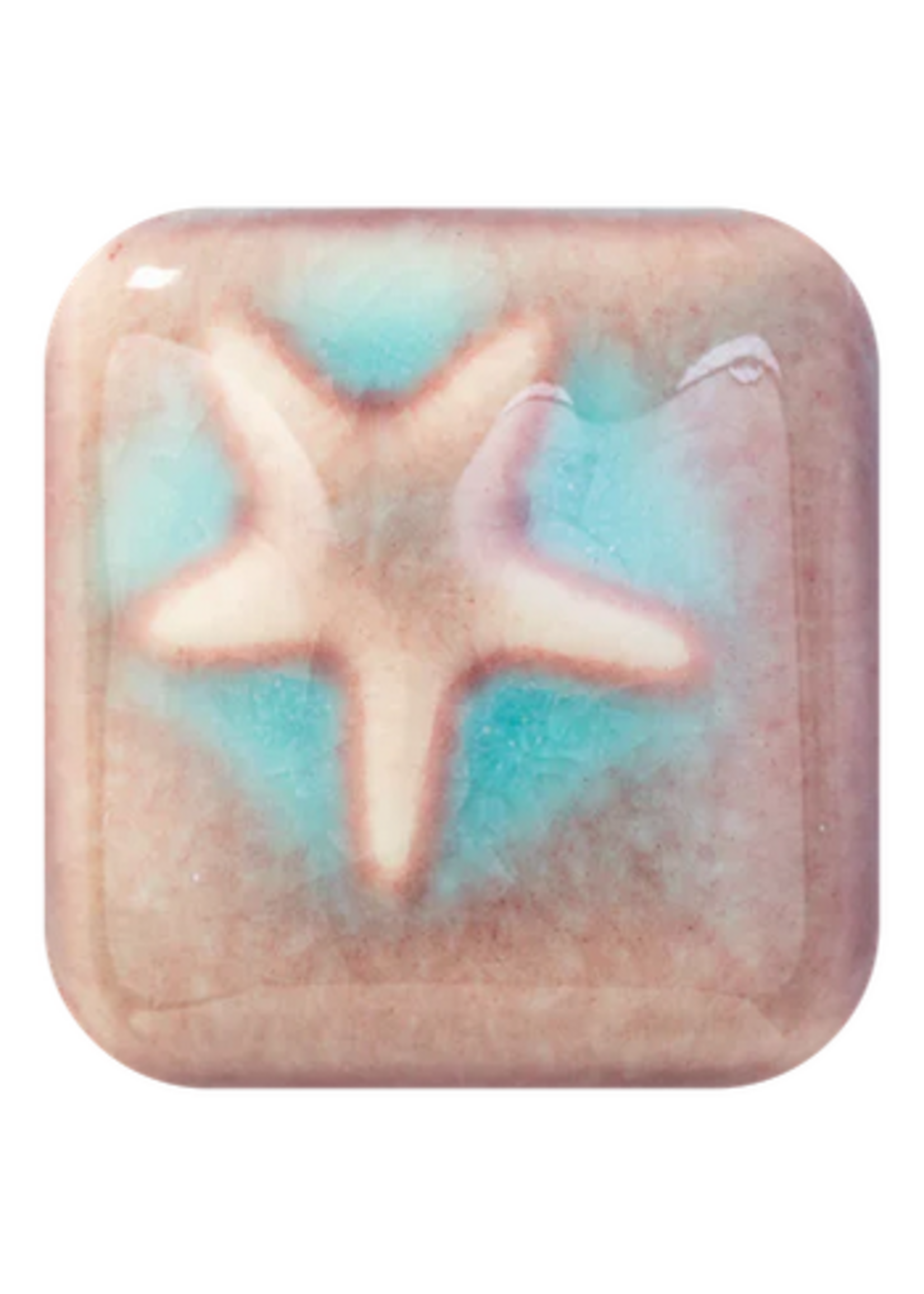 Laguna Clay Co. Laguna Desert Skye WC-141 Pint