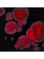 Mayco Coloramics Black Opal CG-779  PINT
