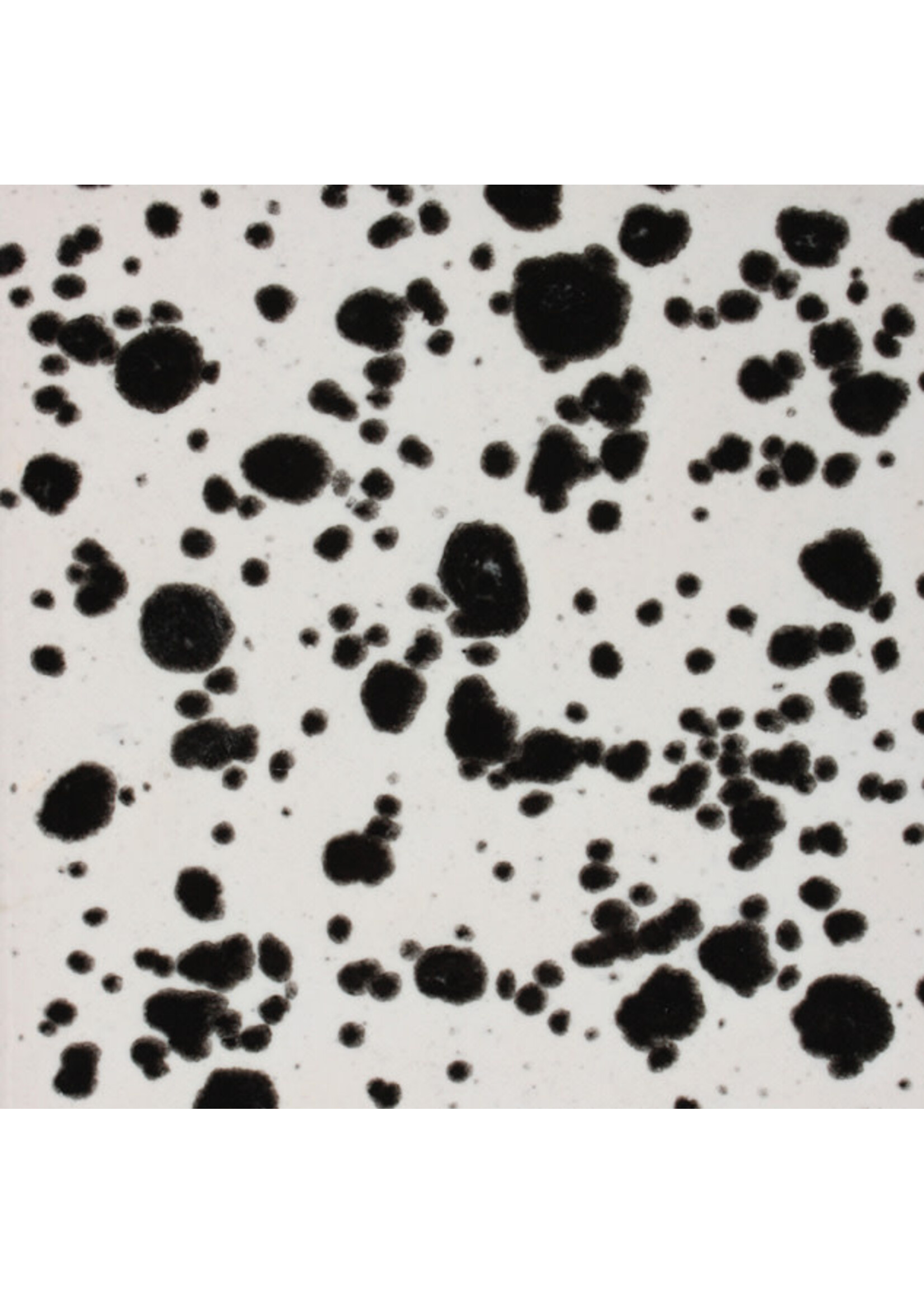 Mayco Coloramics Ink Spots CG-977 PINT