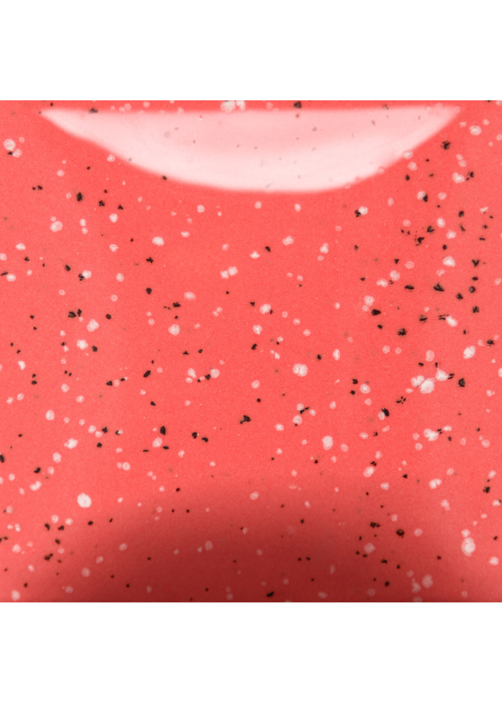 Mayco Coloramics Speckled Cutie Pie Coral SP-289 PINT