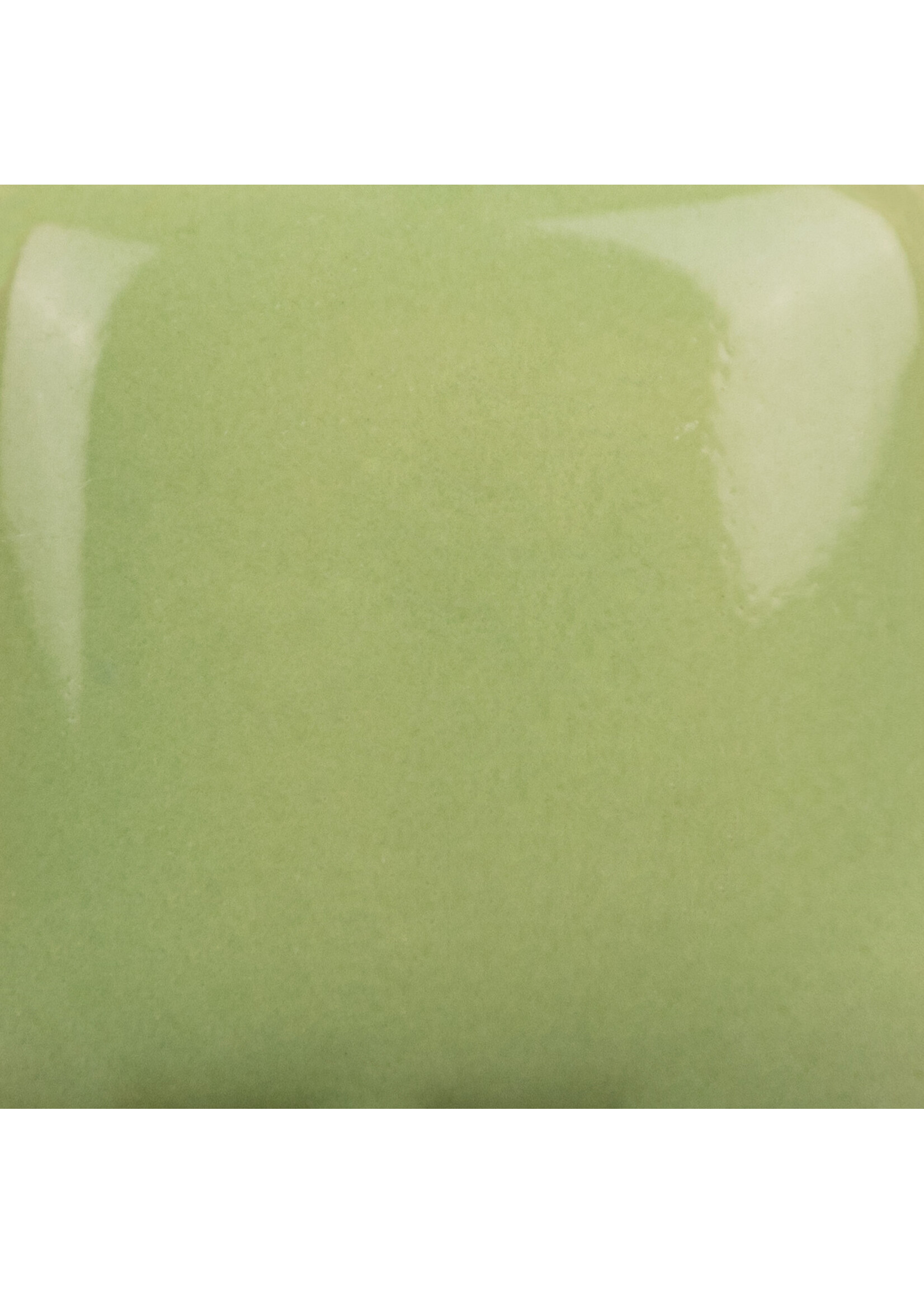 Mayco Coloramics Lettuce Alone SC-43 PINT