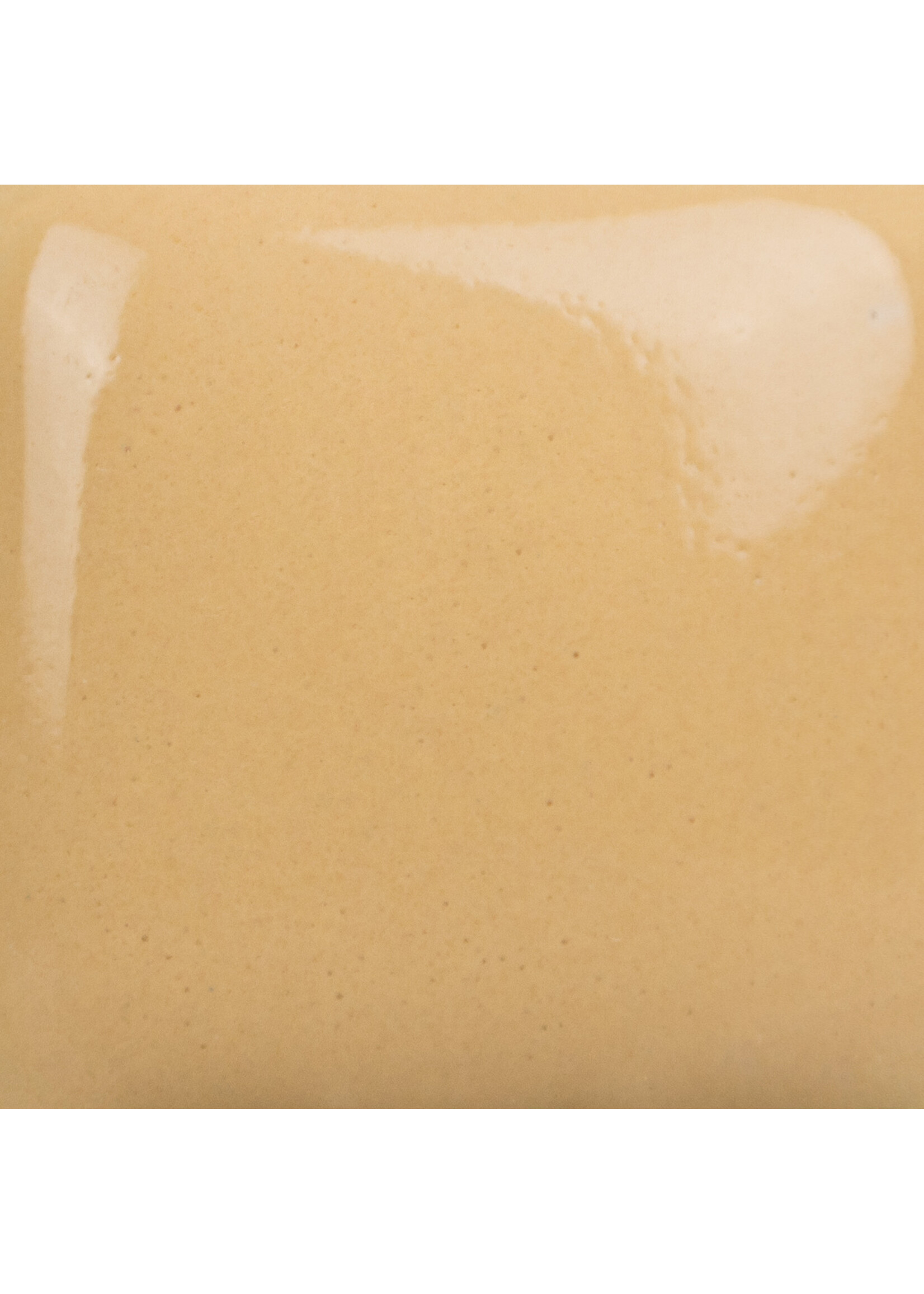 Mayco Coloramics Rawhide SC-46 PINT