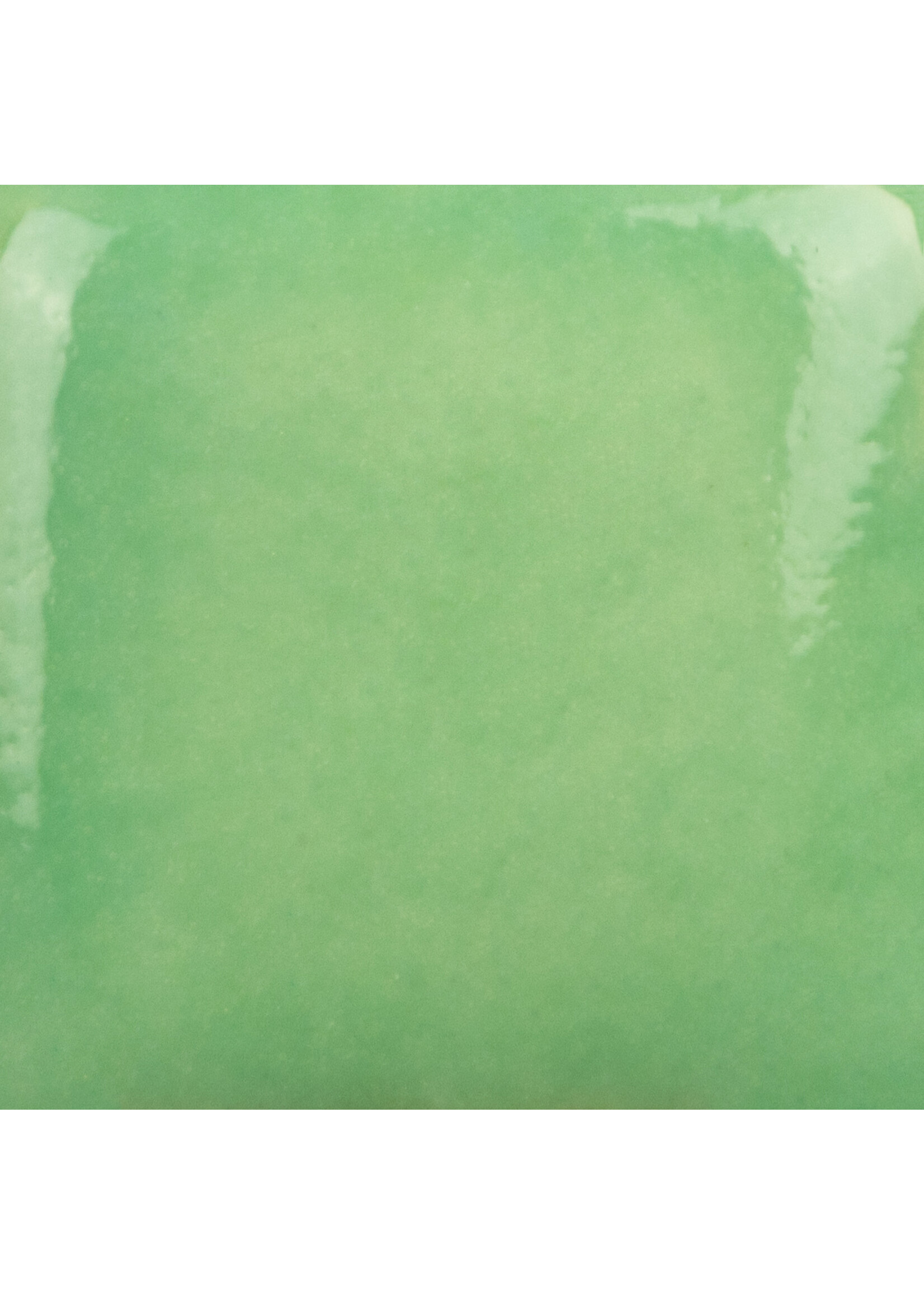 Mayco Coloramics Leapin' Lizard SC-7 PINT