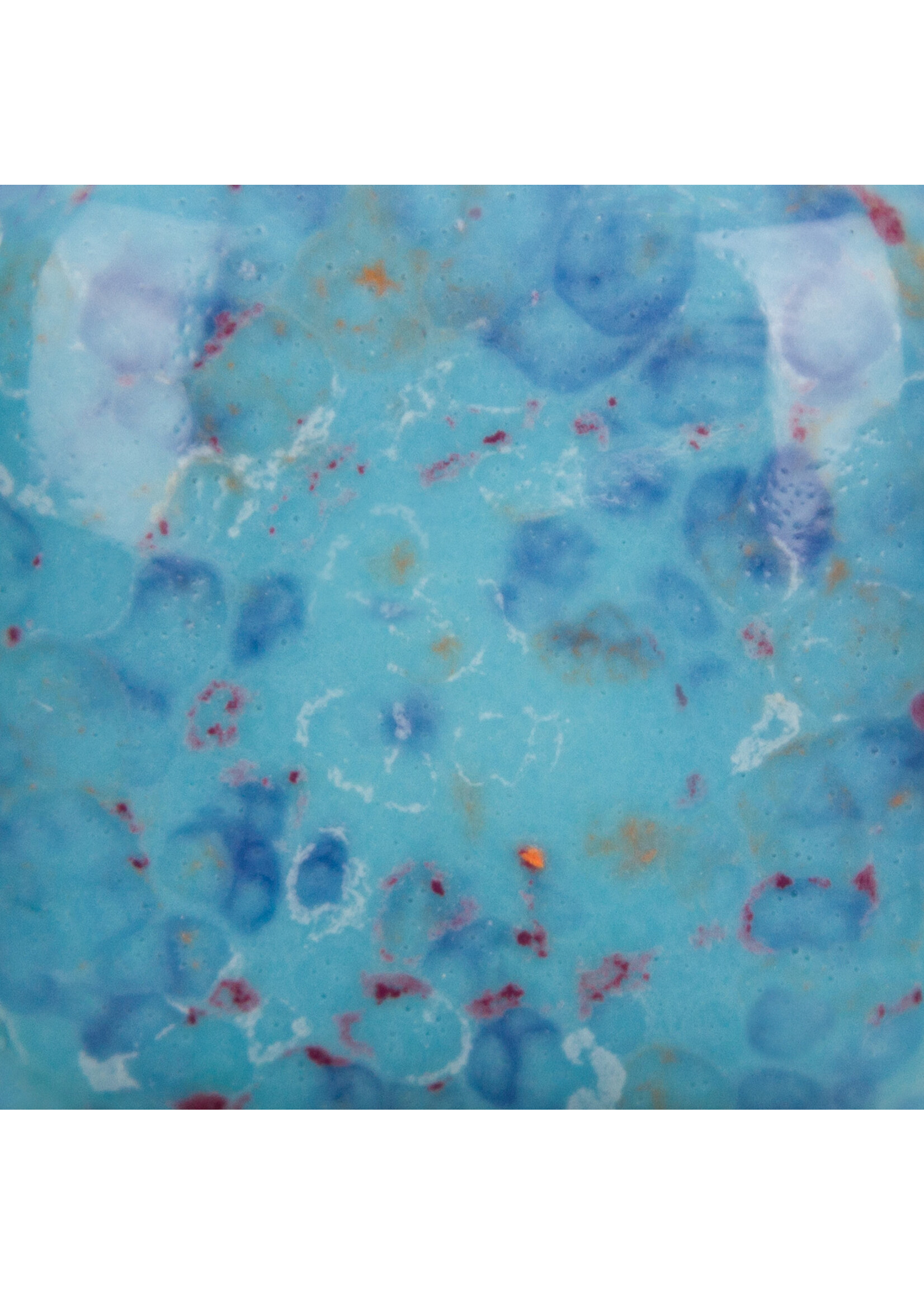 Mayco Coloramics Speckled Tic-Tac-Turquoise SP-2105 PINT